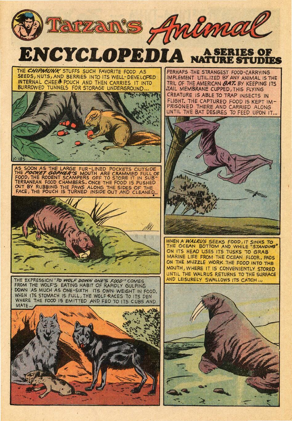 Read online Tarzan (1972) comic -  Issue #229 - 31