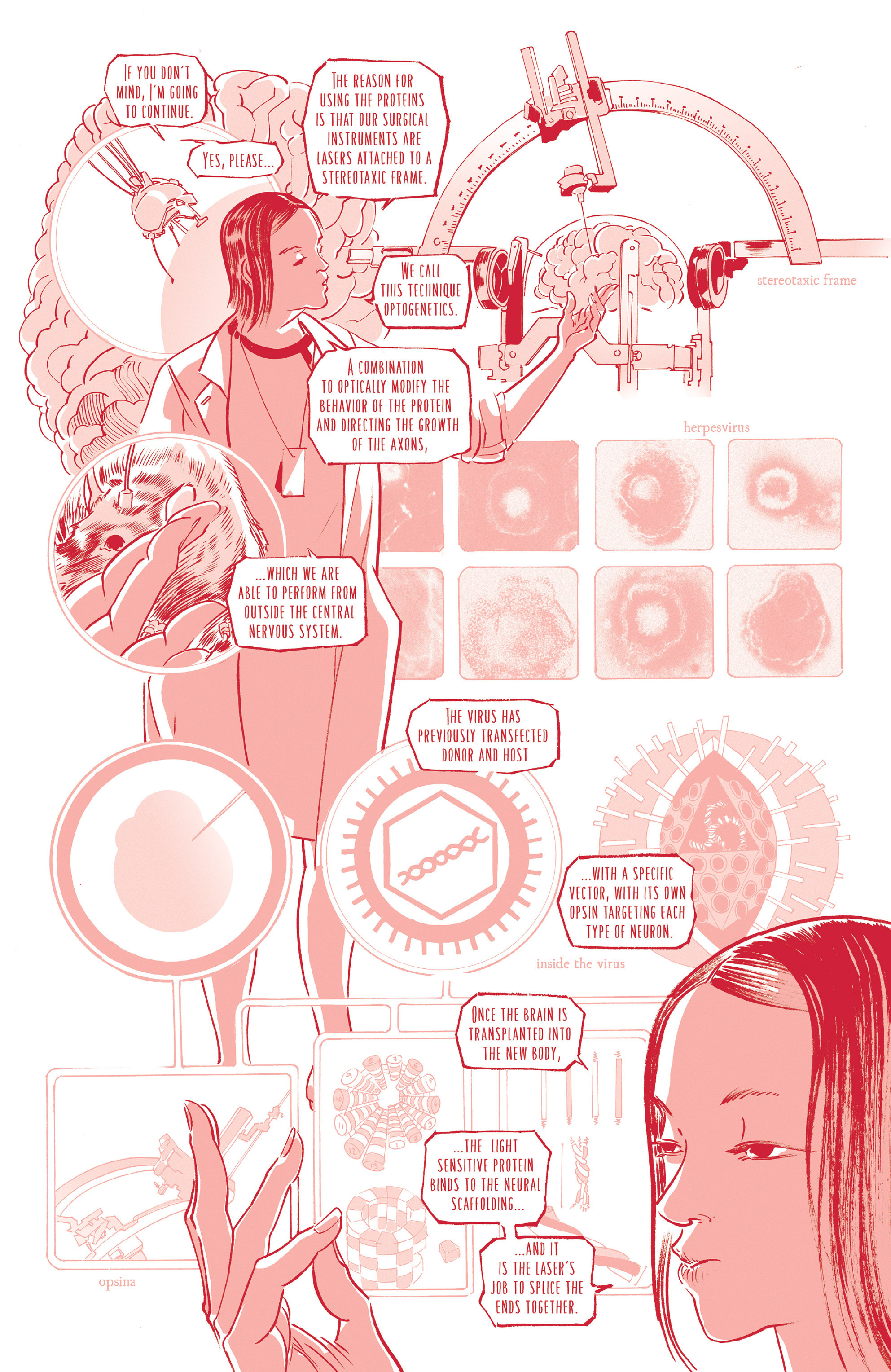 Read online Island (2015) comic -  Issue #2 - 71