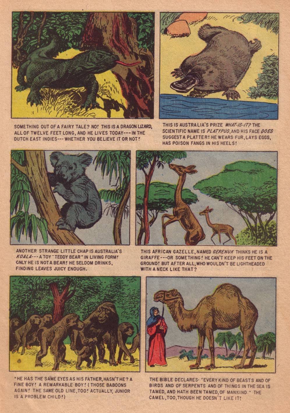 Read online Four Color Comics comic -  Issue #713 - 31