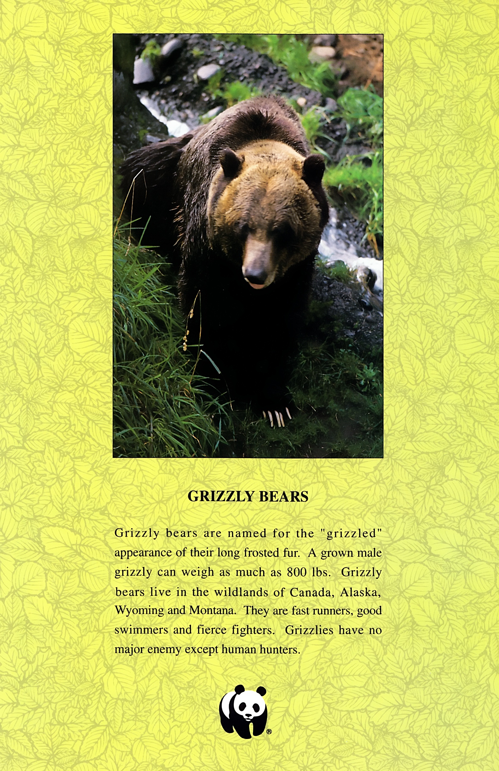 Read online Wolverine: Global Jeopardy comic -  Issue # Full - 5