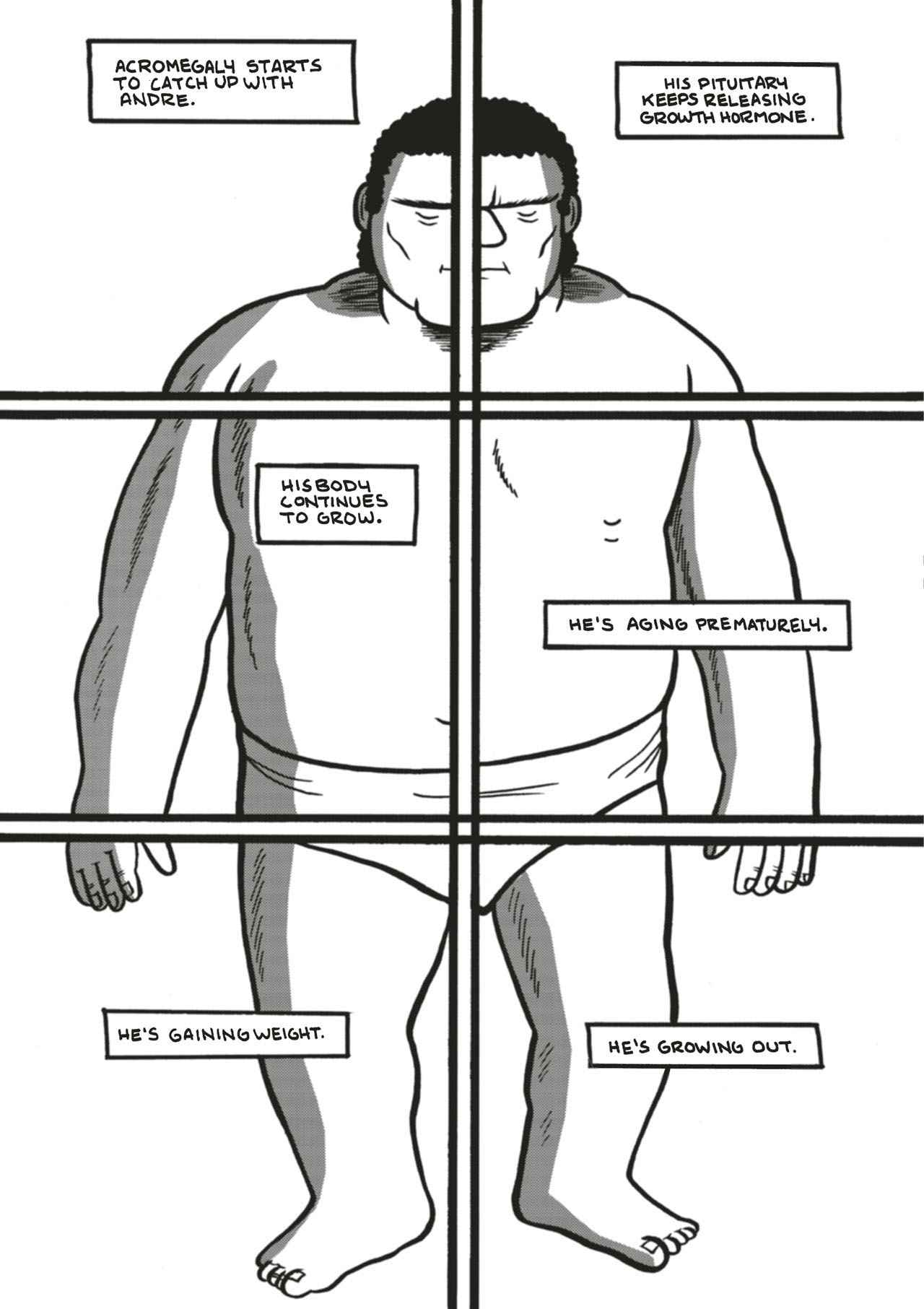 Read online Andre the Giant: Life and Legend comic -  Issue #1 - 174