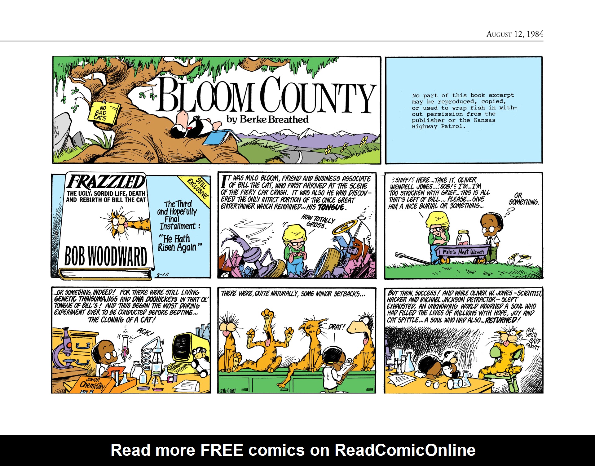Read online The Bloom County Digital Library comic -  Issue # TPB 4 (Part 3) - 31