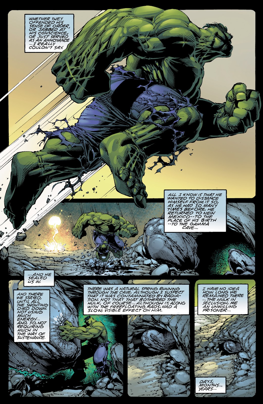 Incredible Hulk: The End issue TPB - Page 24