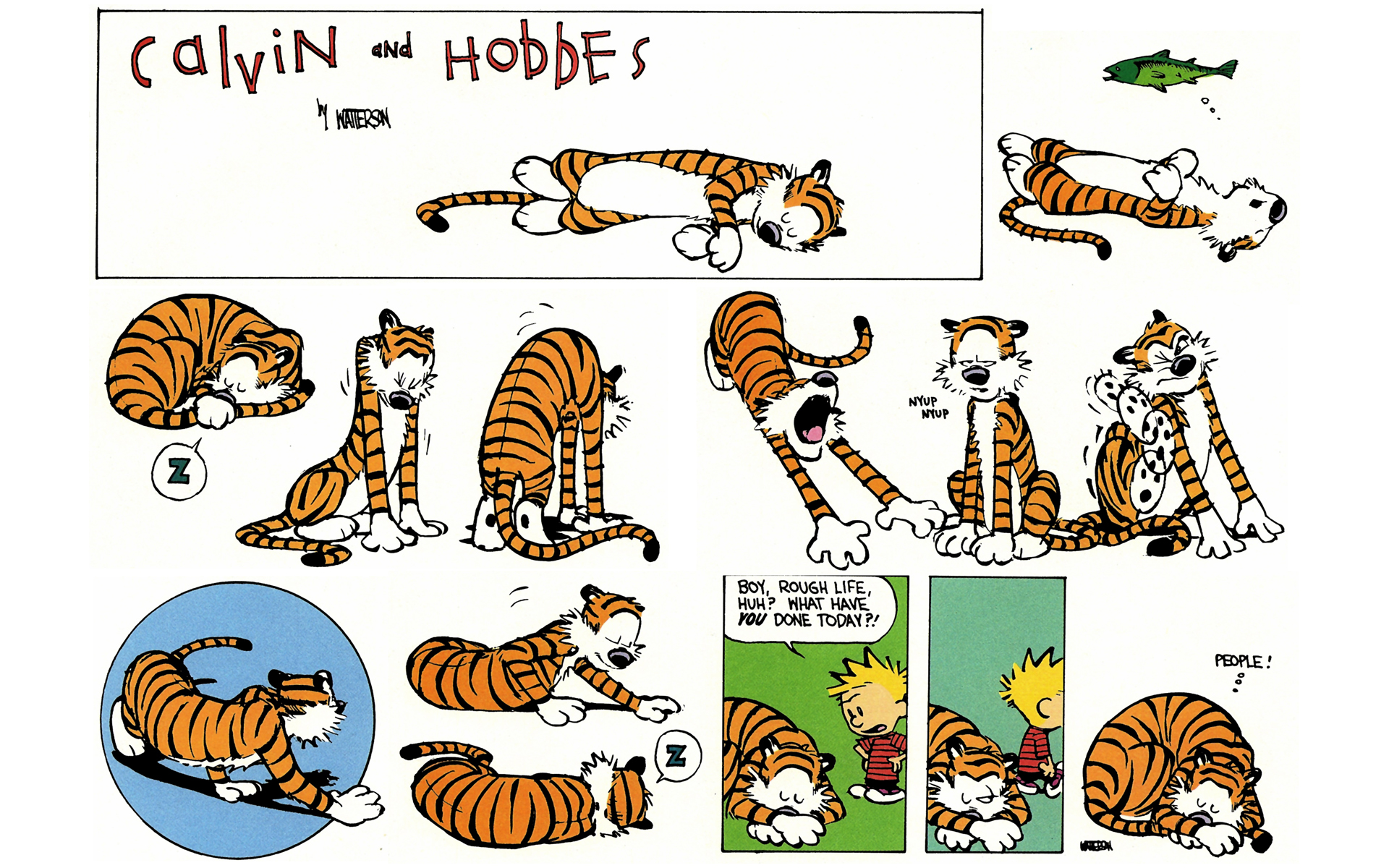 Read online Calvin and Hobbes comic -  Issue #6 - 113