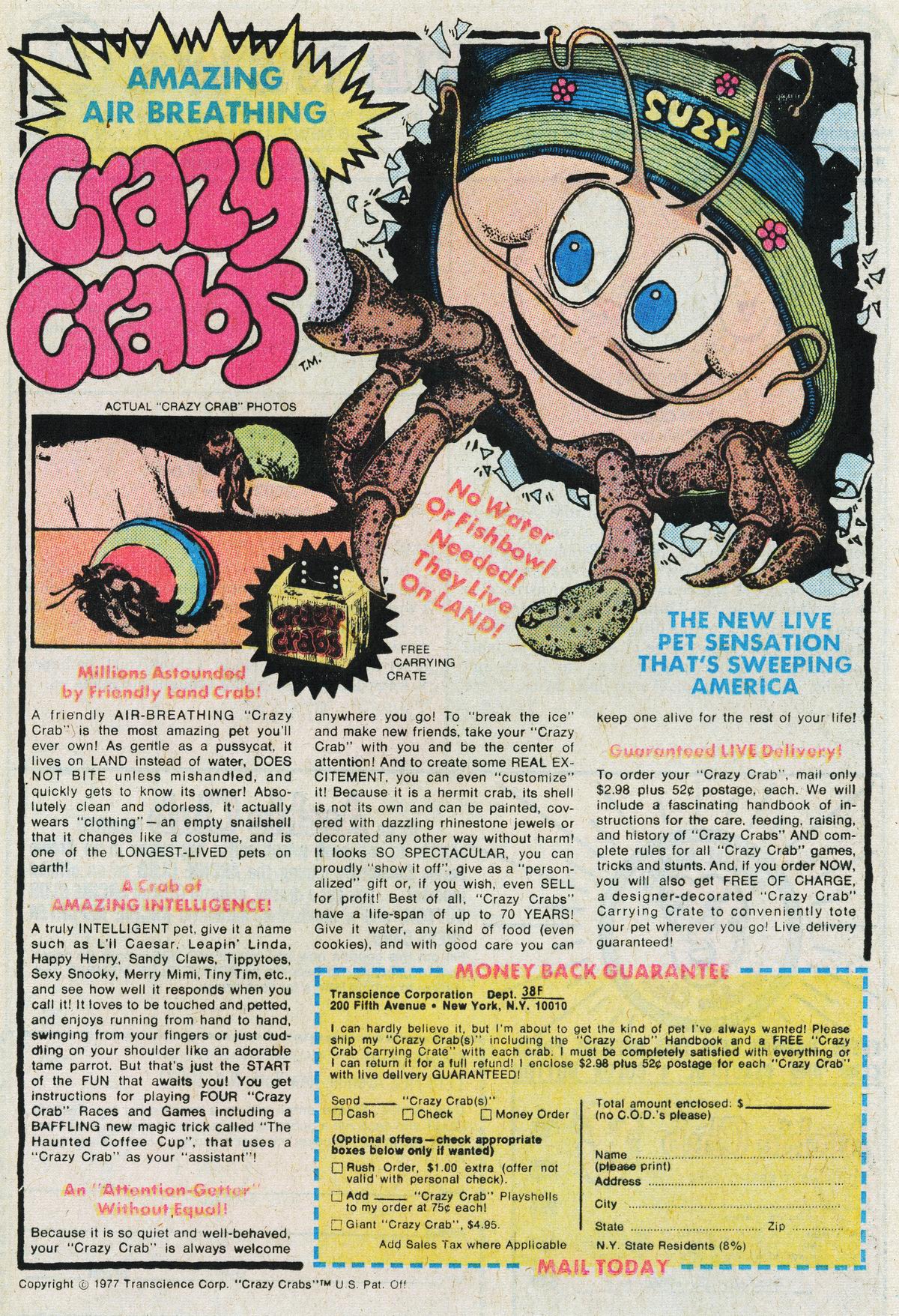 Read online Archie's Pals 'N' Gals (1952) comic -  Issue #114 - 25