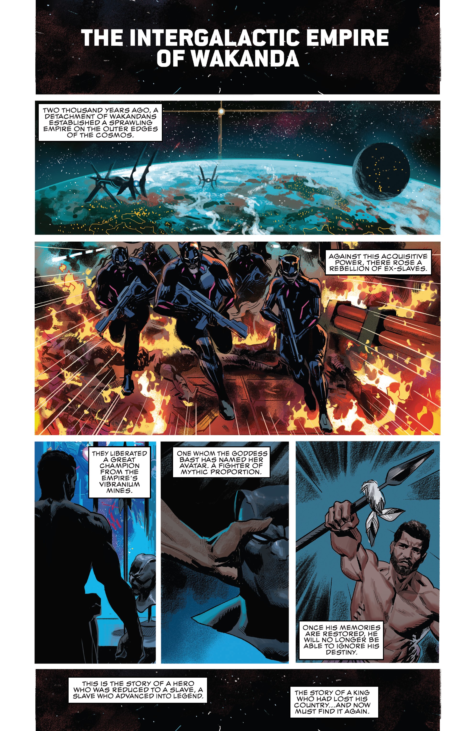 Read online Black Panther (2018) comic -  Issue #12 - 2