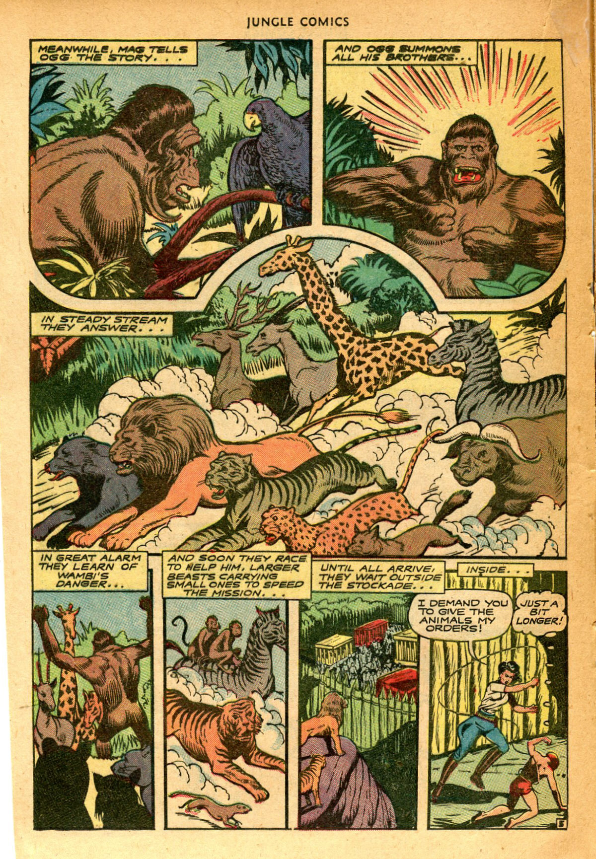 Read online Jungle Comics comic -  Issue #74 - 25