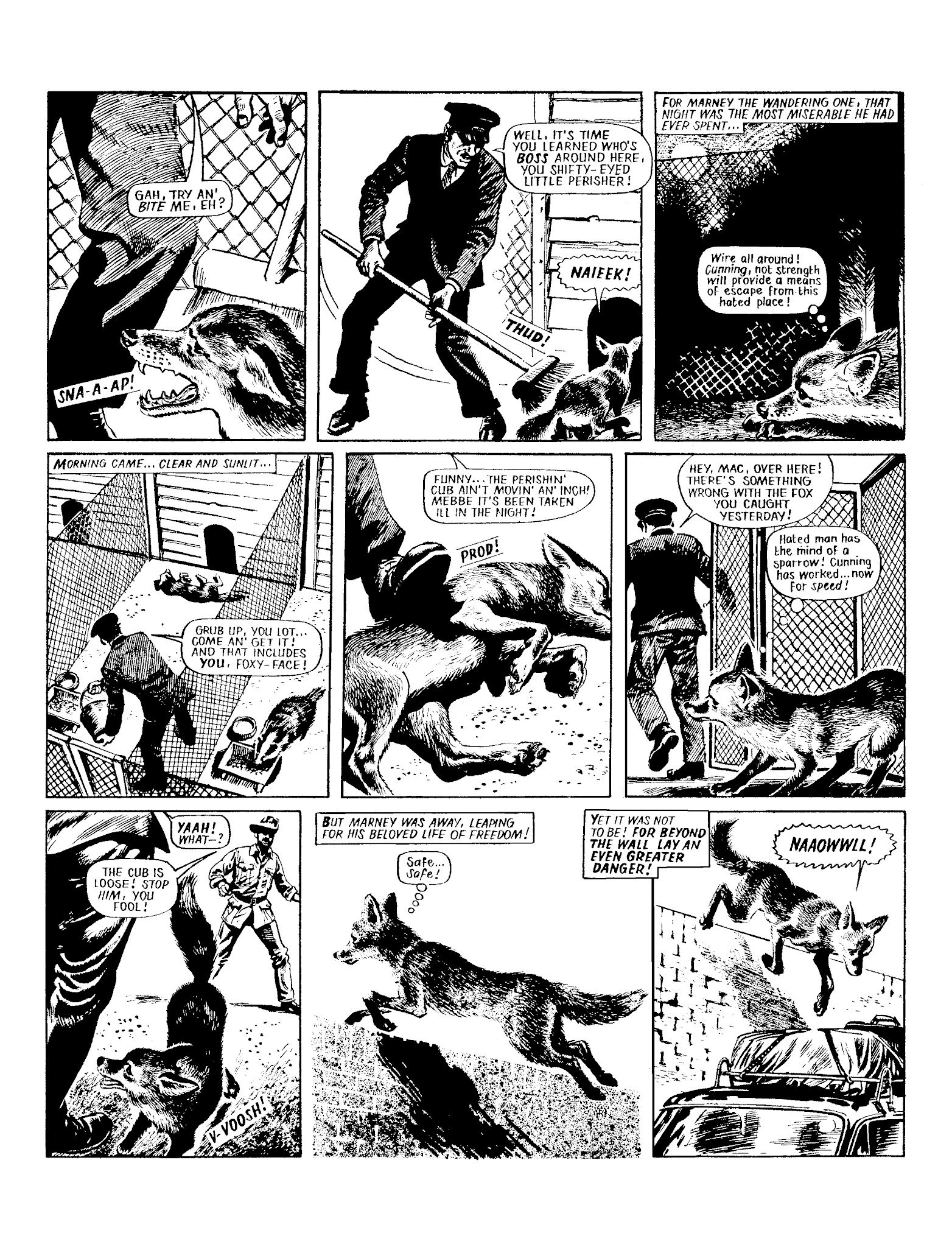 Read online Marney the Fox comic -  Issue # TPB (Part 1) - 32