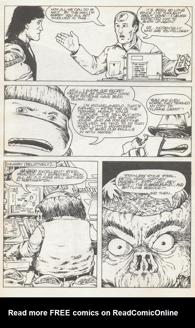 Teenage Mutant Ninja Turtles (1984) Issue #15 #15 - English 15