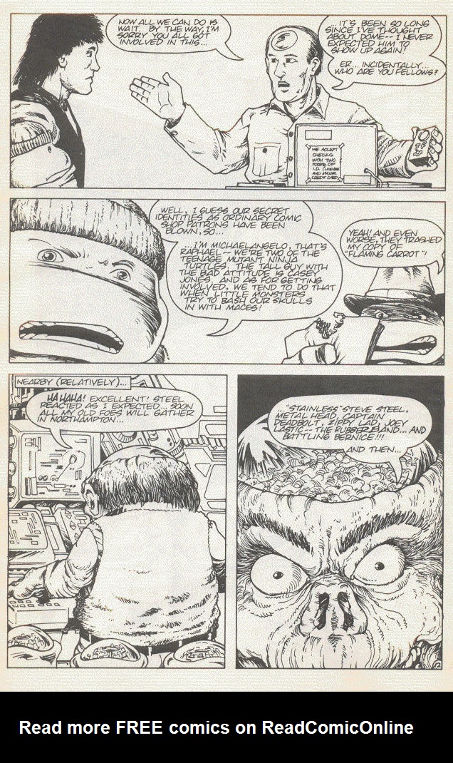 Read online Teenage Mutant Ninja Turtles (1984) comic -  Issue #15 - 15