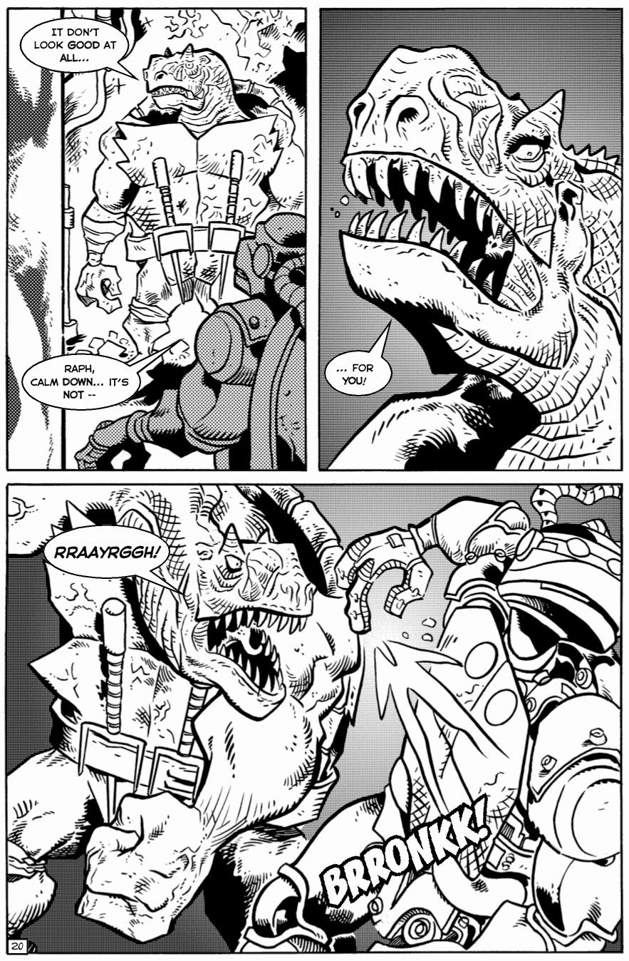 Read online TMNT: Teenage Mutant Ninja Turtles comic -  Issue #32 - 22