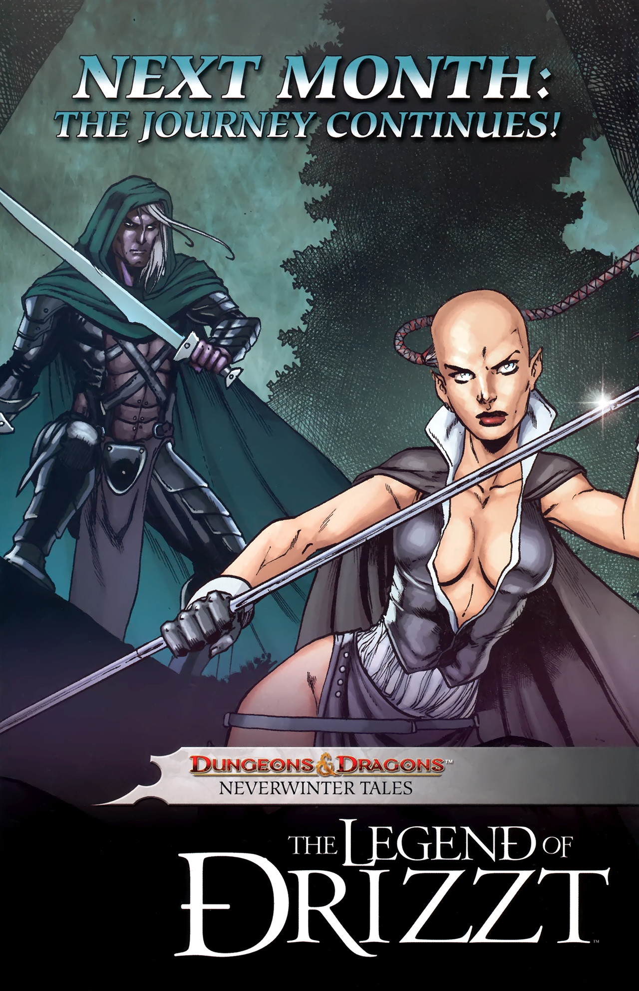 Read online Dungeons & Dragons: The Legend of Drizzt: Neverwinter Tales comic -  Issue #2 - 25