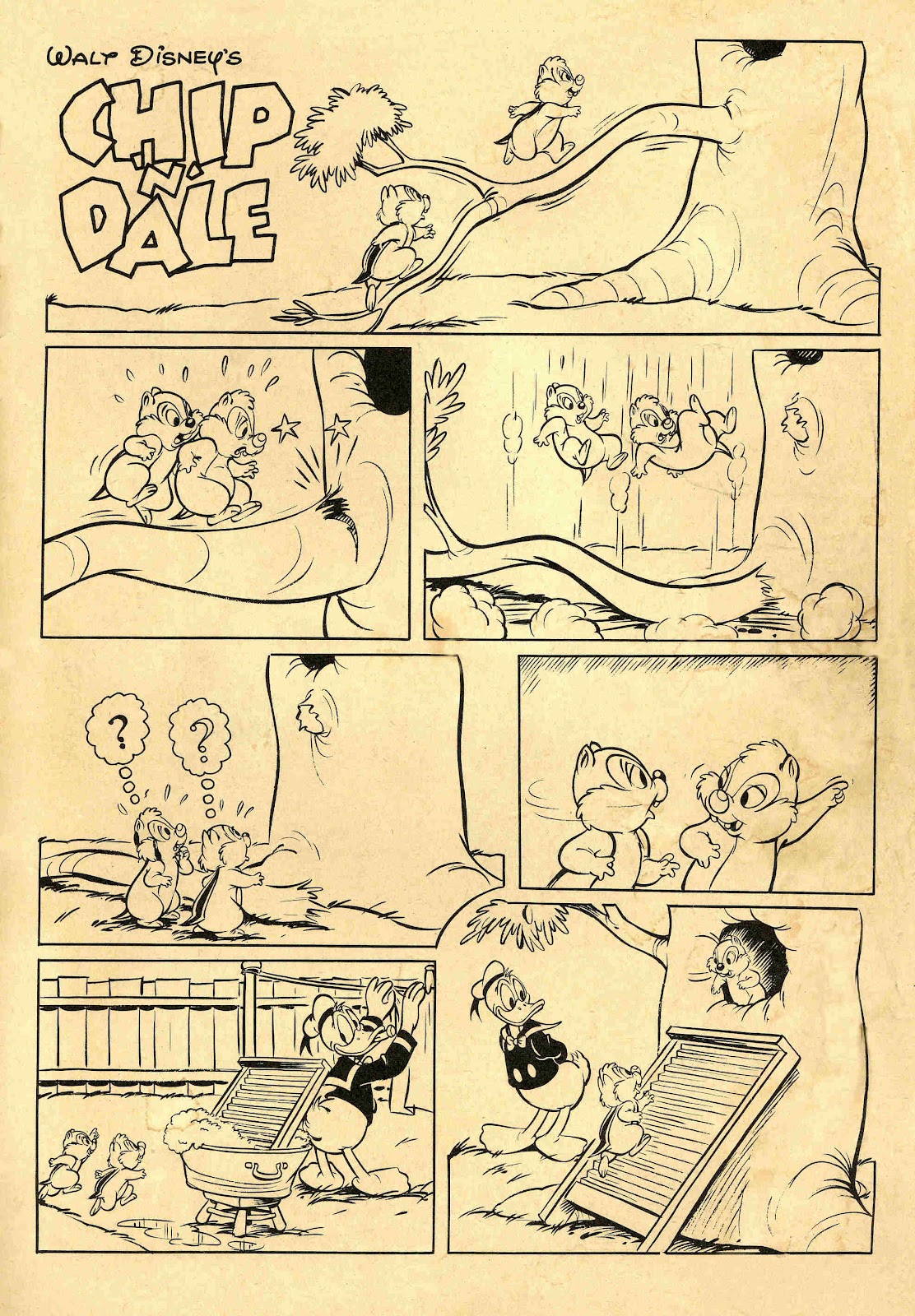 Walt Disney's Chip 'N' Dale issue 7 - Page 35