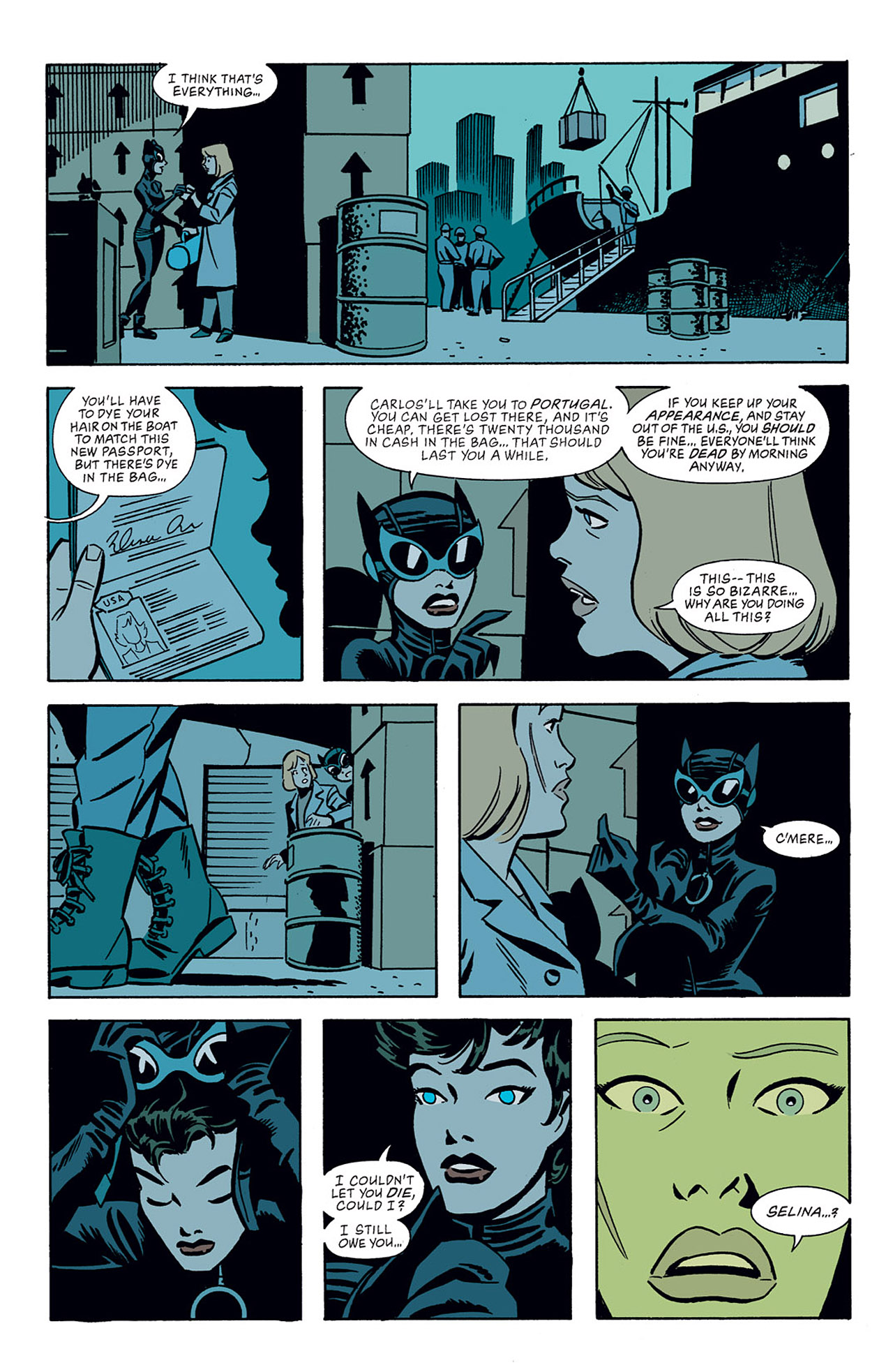 Read online Catwoman (2002) comic -  Issue #10 - 20