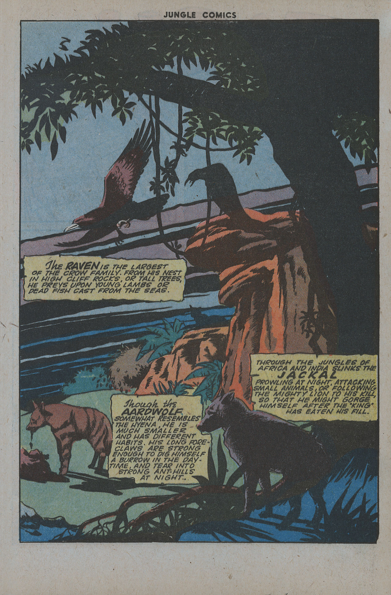 Read online Jungle Comics comic -  Issue #64 - 29