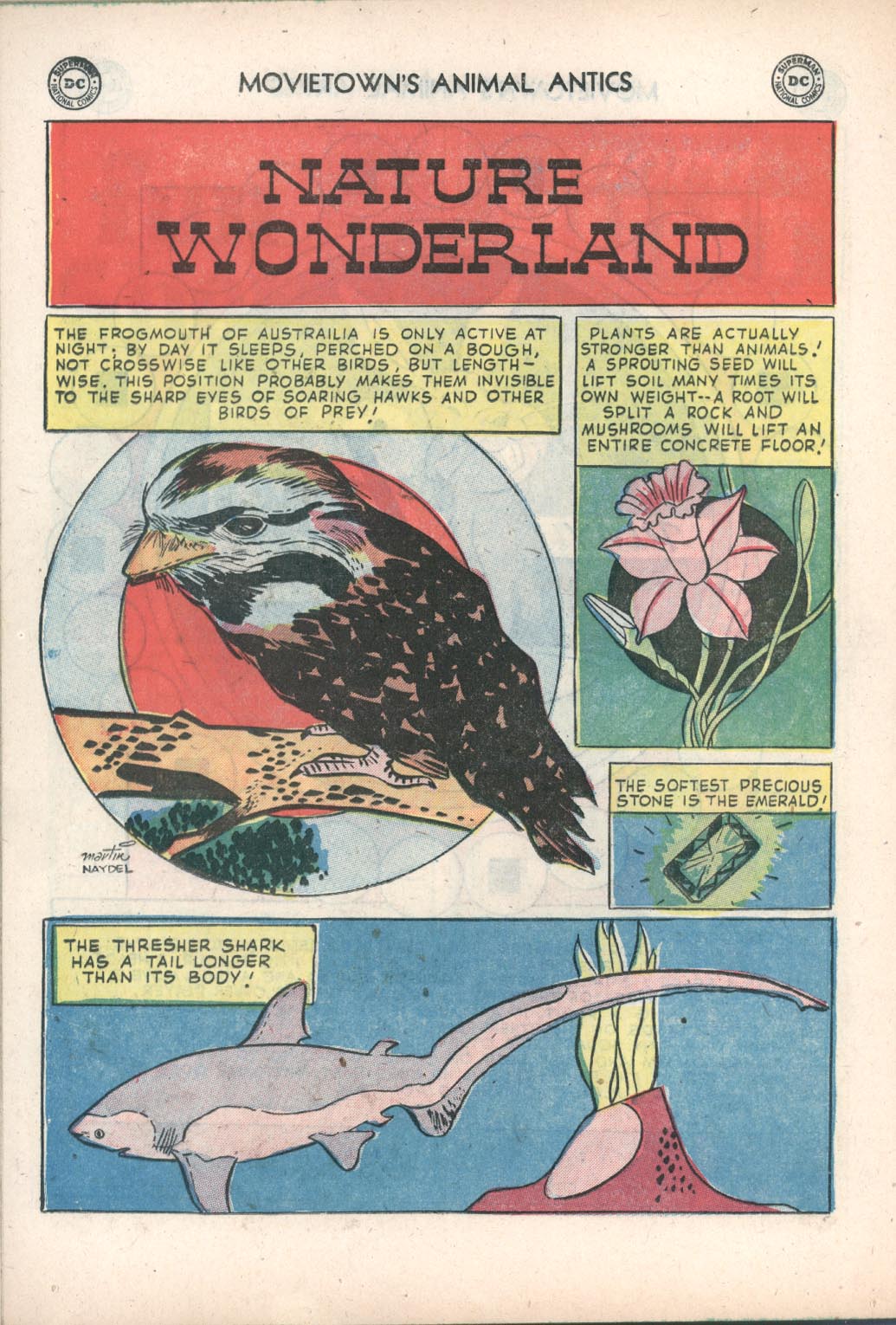 Read online Animal Antics comic -  Issue #42 - 22