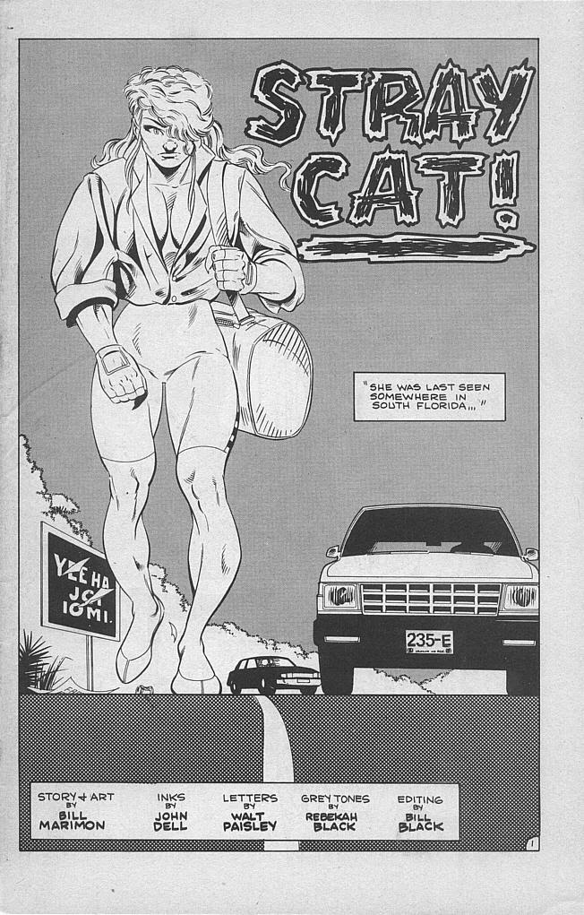 Read online She-Cat comic -  Issue #1 - 3