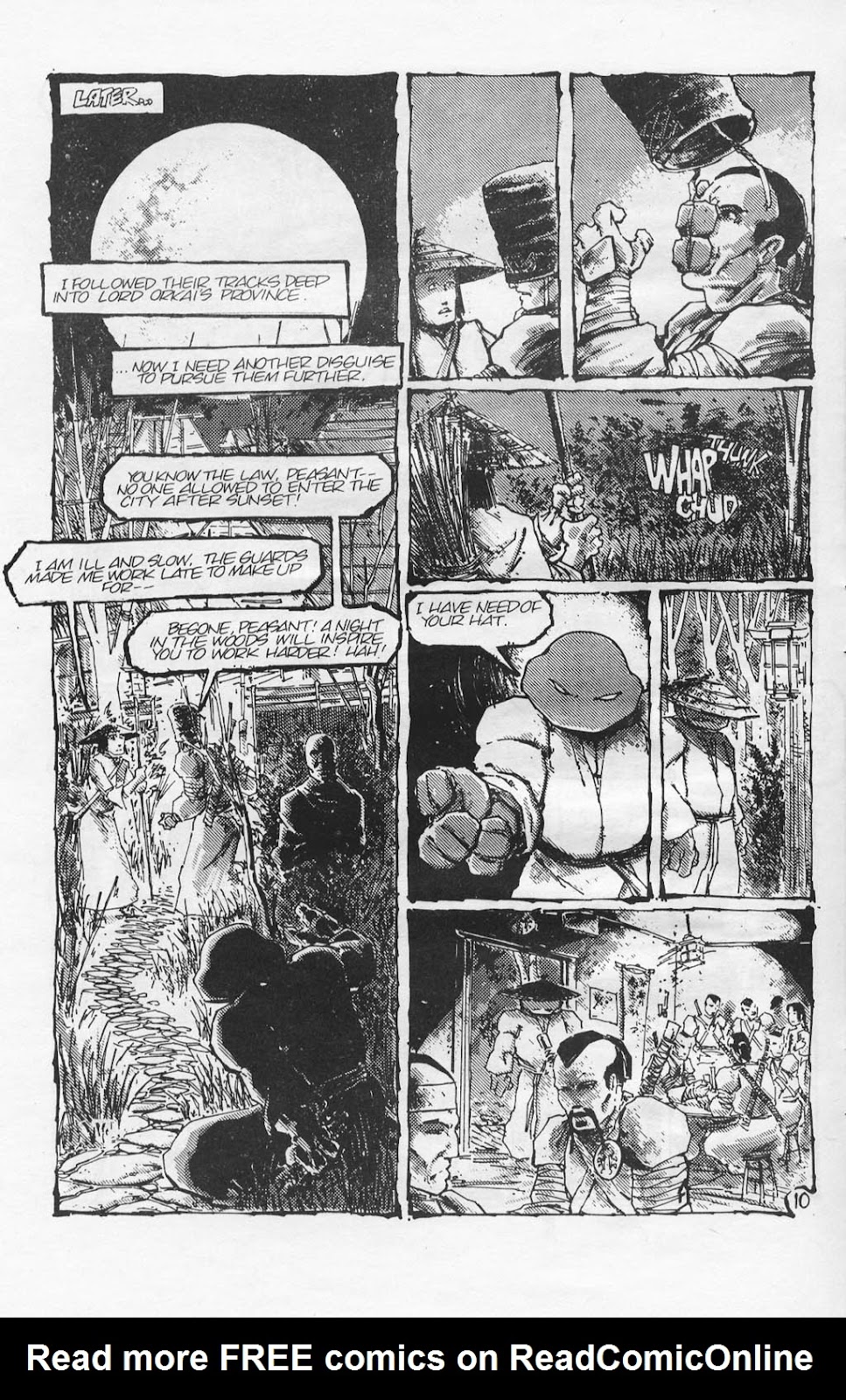 Teenage Mutant Ninja Turtles (1984) Issue #17 #17 - English 13