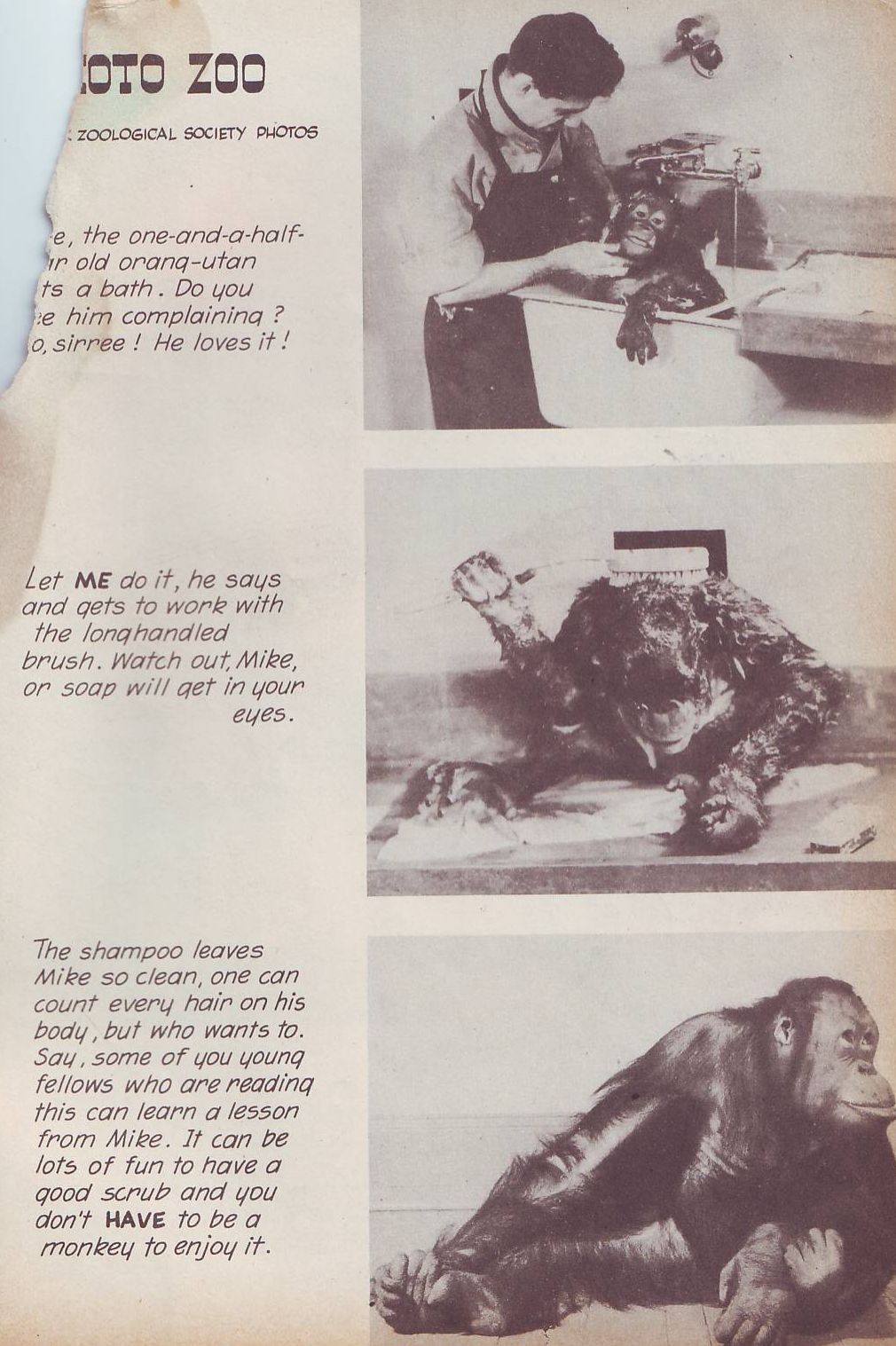 Read online Animal Comics comic -  Issue #26 - 51