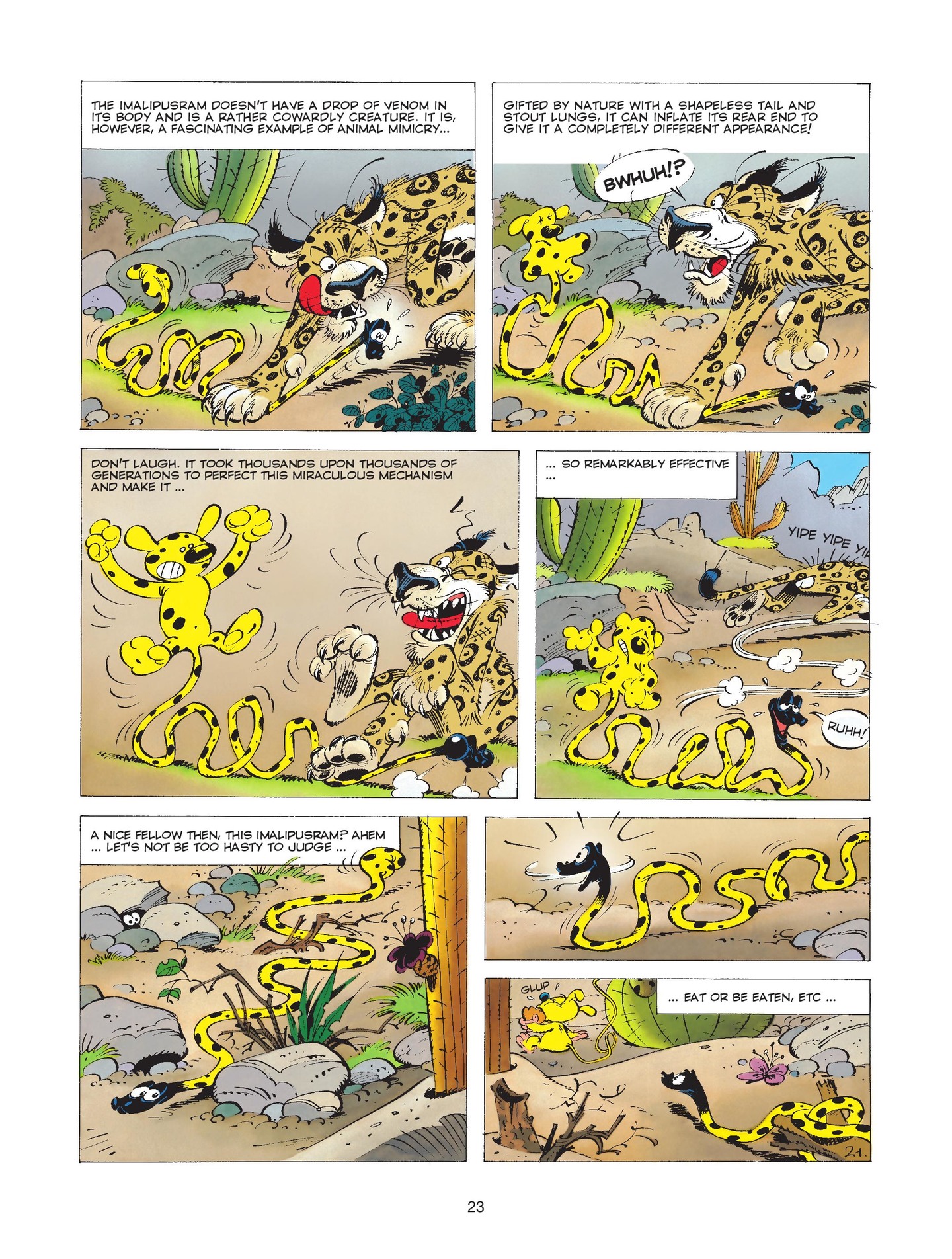Read online Marsupilami comic -  Issue #4 - 25