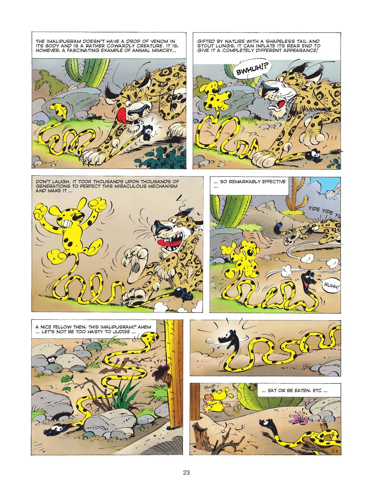 Marsupilami issue 4 - Page 25