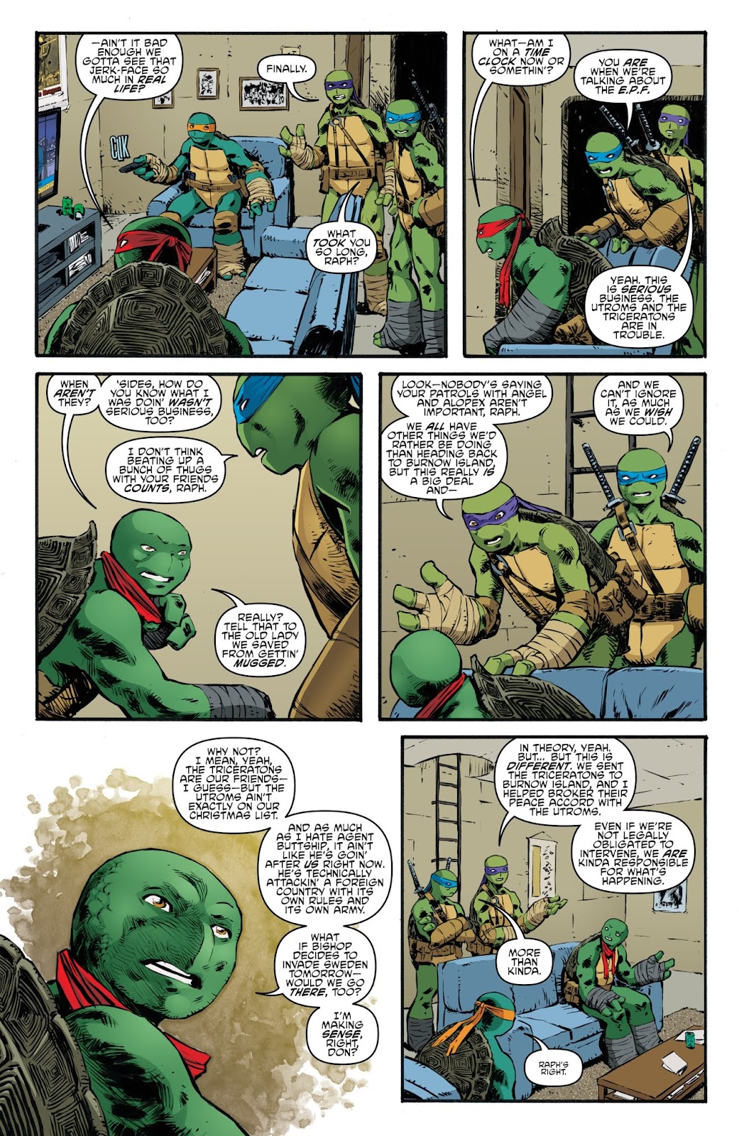 Teenage Mutant Ninja Turtles (2011) issue 86 - Page 14