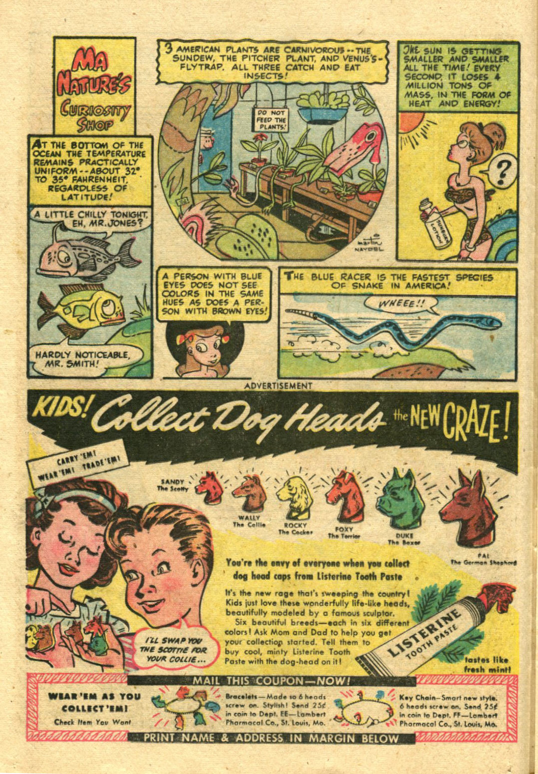 Read online Green Lantern (1941) comic -  Issue #38 - 15