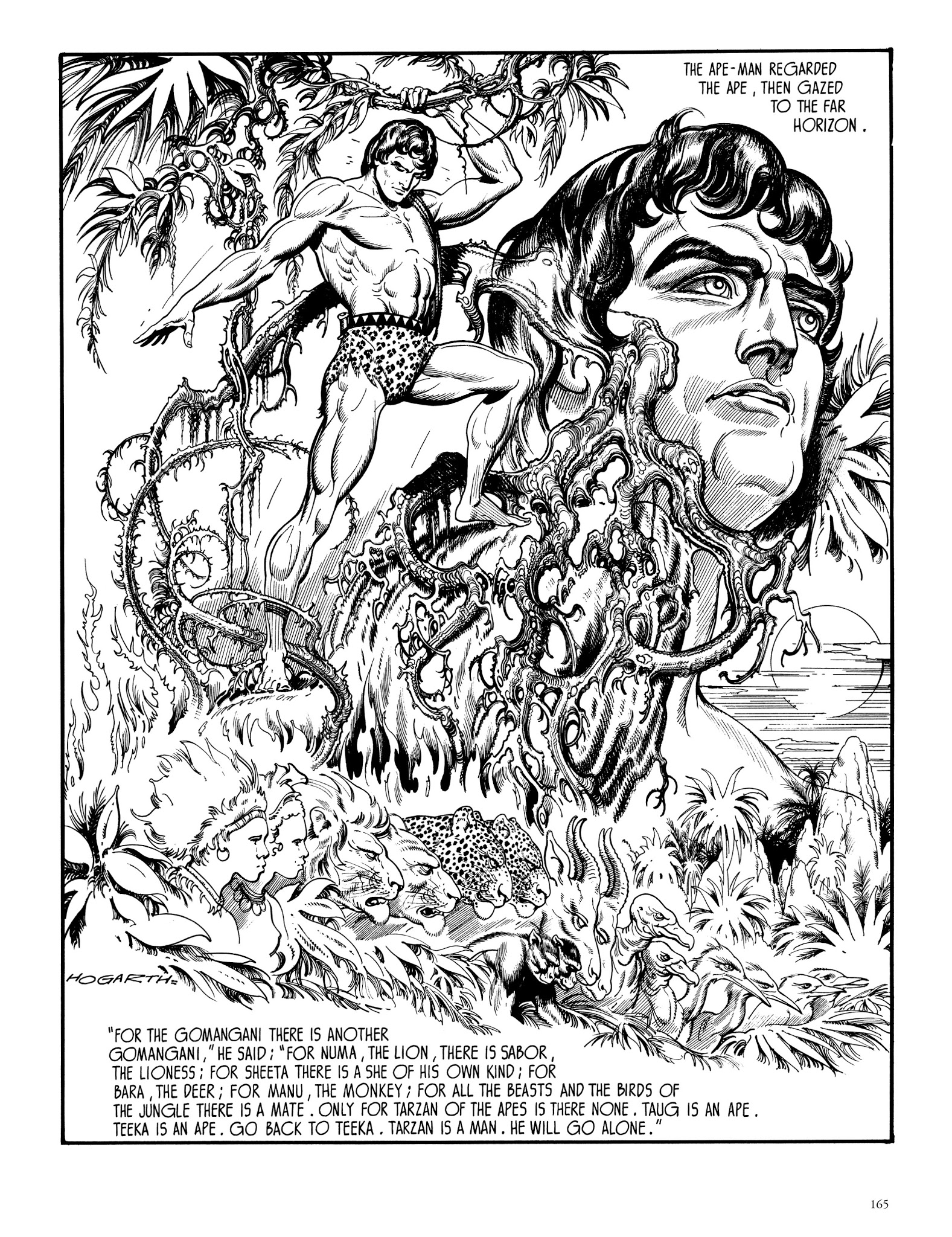 Read online Edgar Rice Burroughs' Tarzan: Burne Hogarth's Lord of the Jungle comic -  Issue # TPB - 164