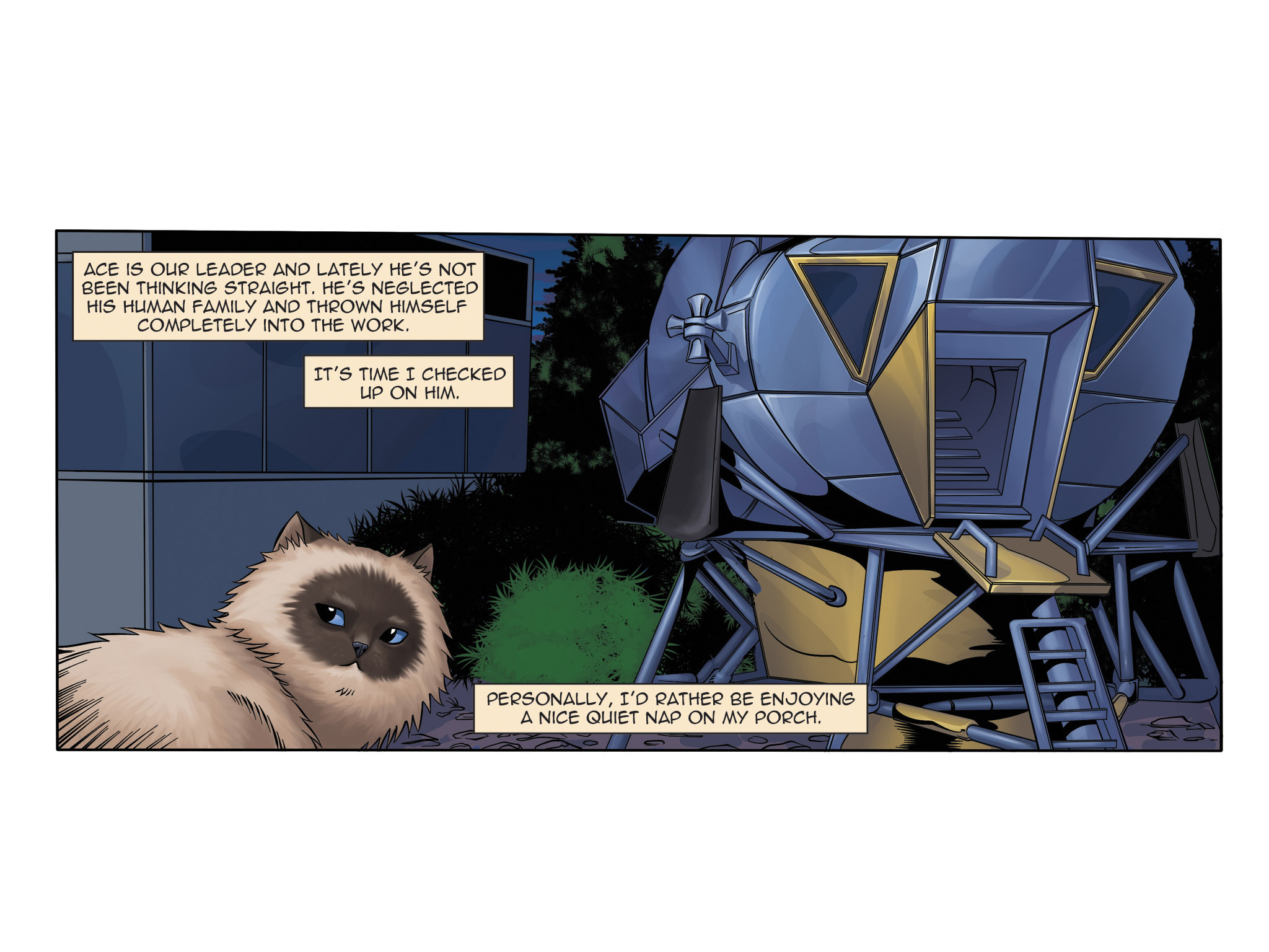 Read online Hero Cats comic -  Issue #2 - 5