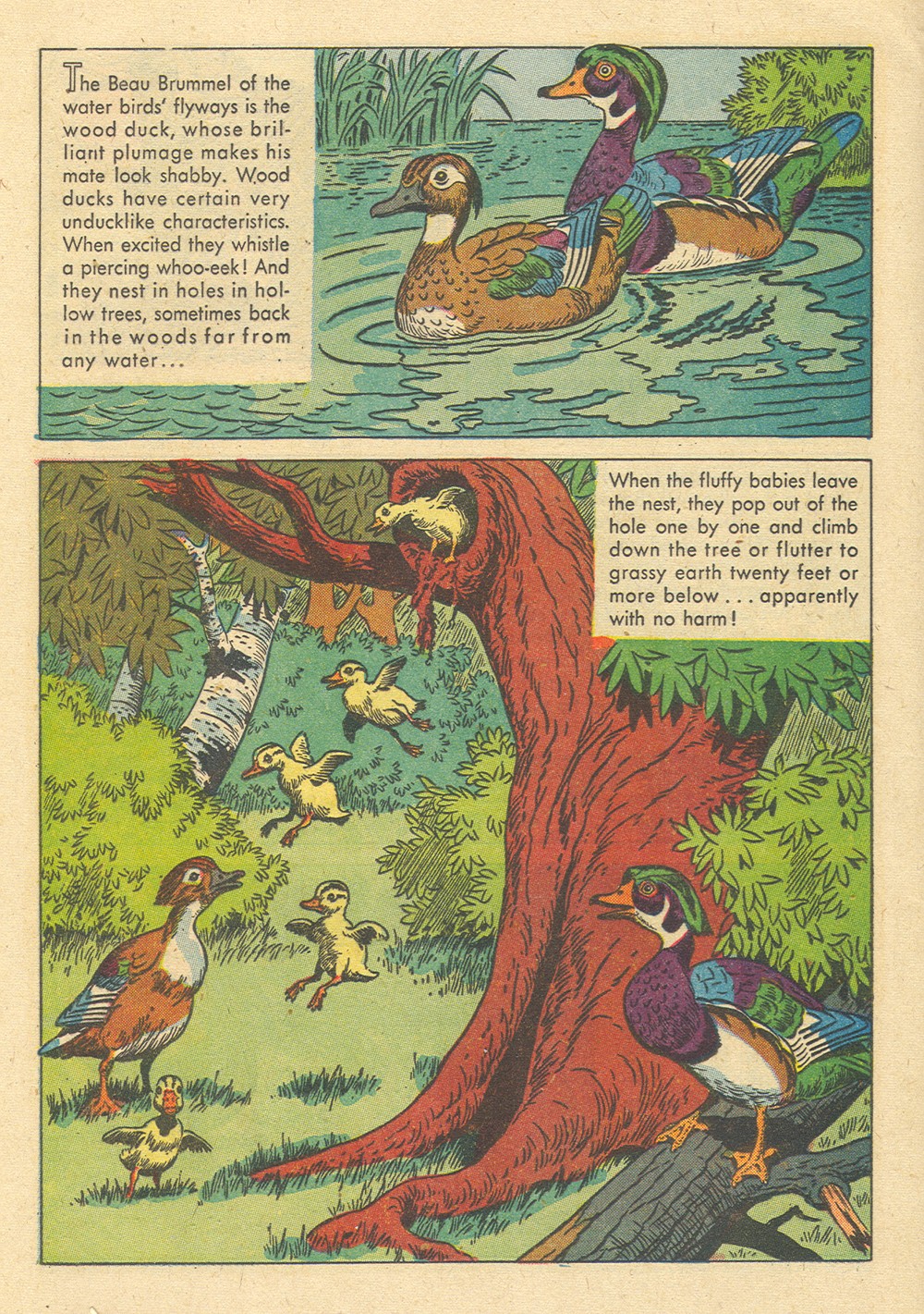 Read online Four Color Comics comic -  Issue #700 - 12