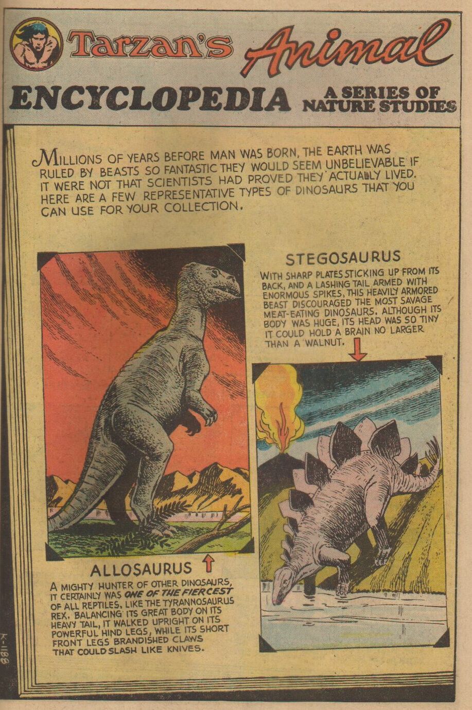 Read online Tarzan (1972) comic -  Issue #228 - 20
