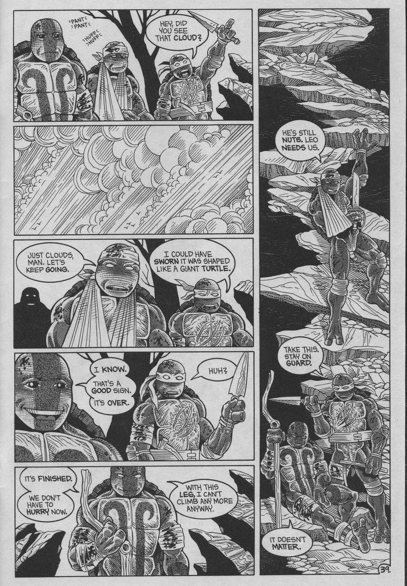 Teenage Mutant Ninja Turtles (1984) Issue #37 #37 - English 39