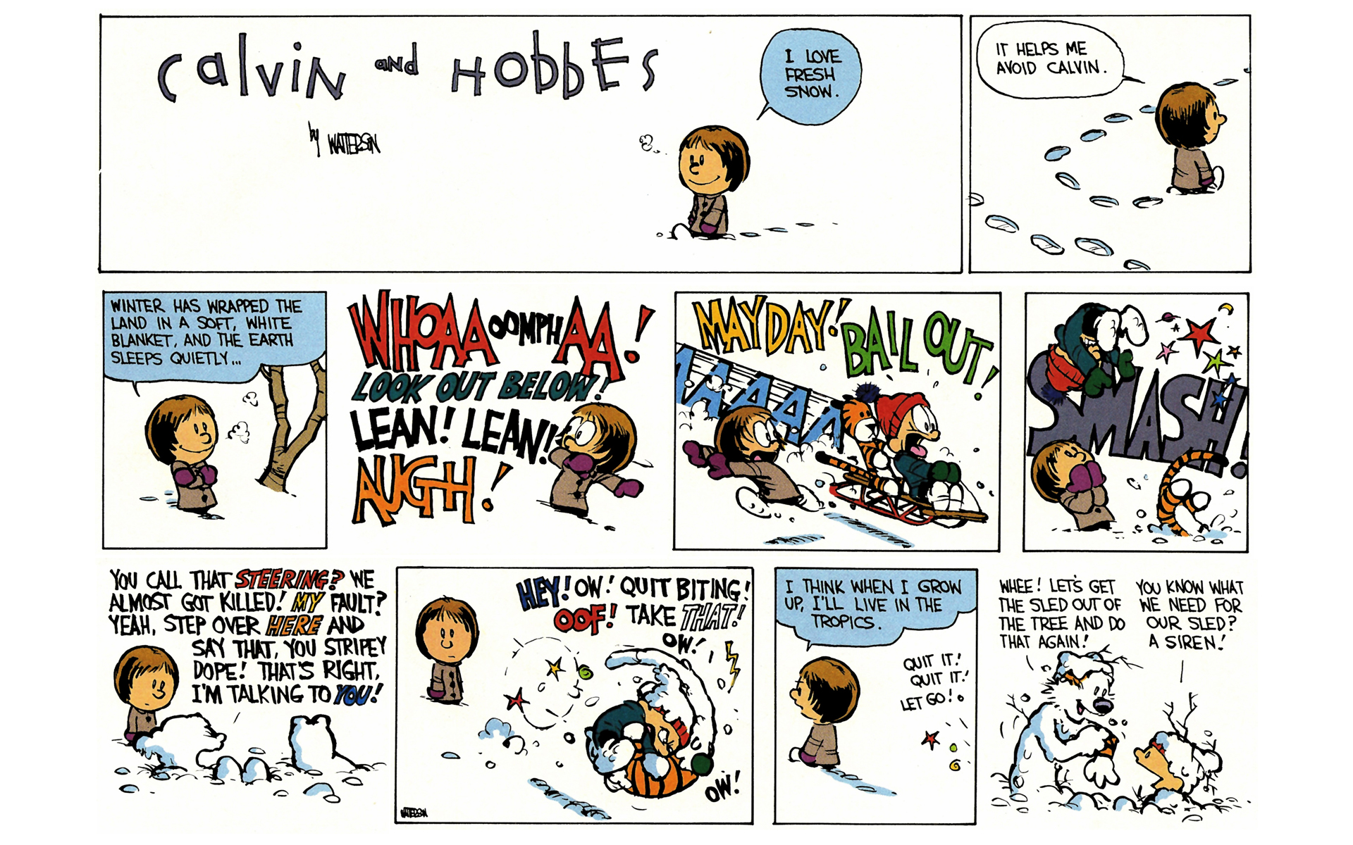Read online Calvin and Hobbes comic -  Issue #6 - 95