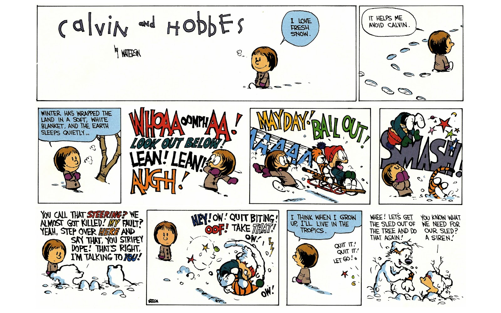Calvin and Hobbes issue 6 - Page 95