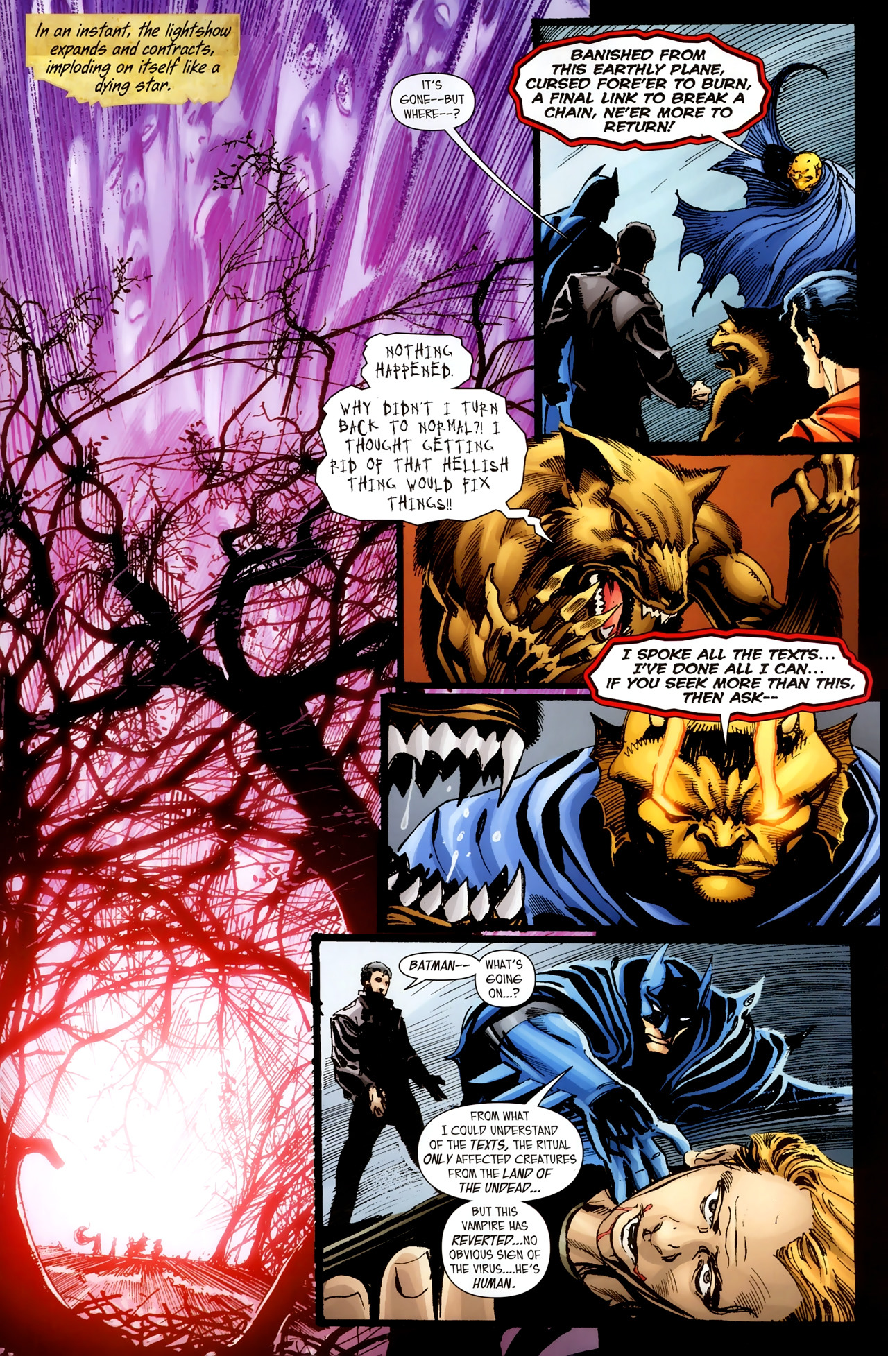 Read online Superman and Batman vs. Vampires and Werewolves comic -  Issue #6 - 17