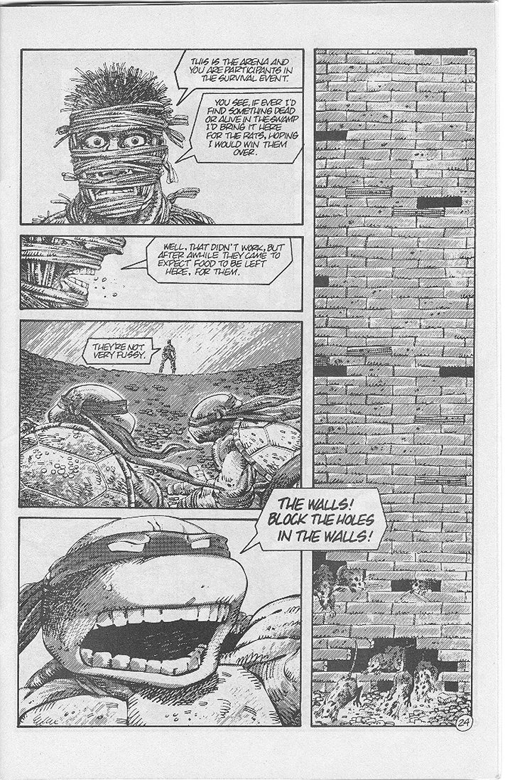 Read online Tales of the Teenage Mutant Ninja Turtles comic -  Issue #4 - 27