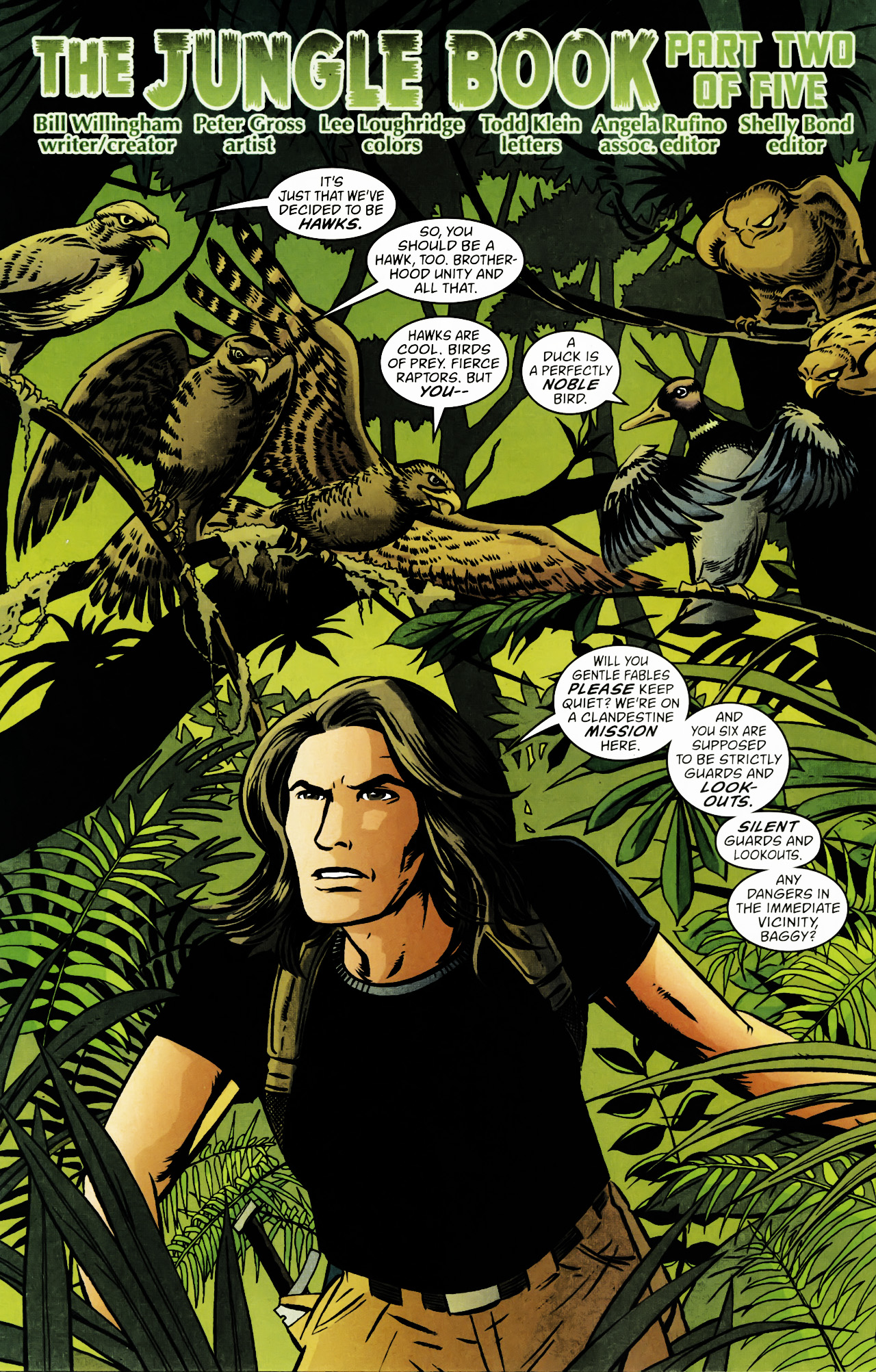 Read online Fables comic -  Issue #78 - 17