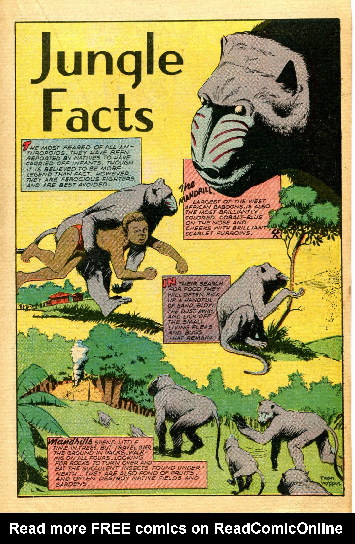 Read online Jungle Comics comic -  Issue #67 - 23
