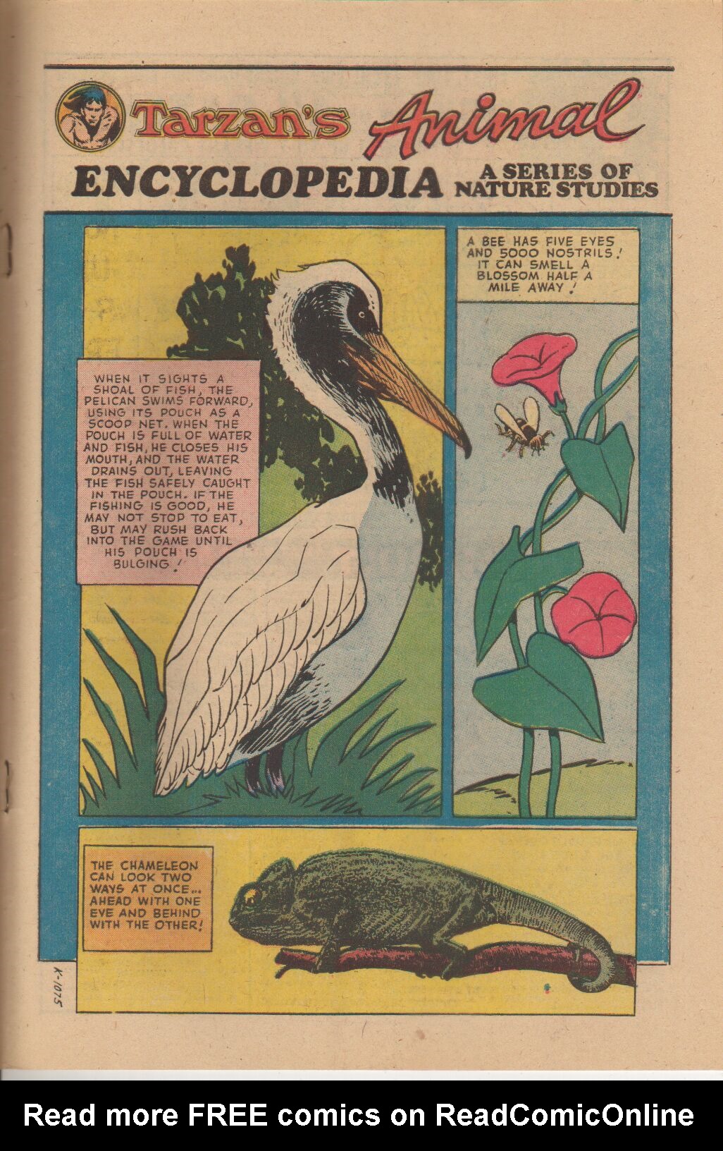 Read online Tarzan (1972) comic -  Issue #219 - 21