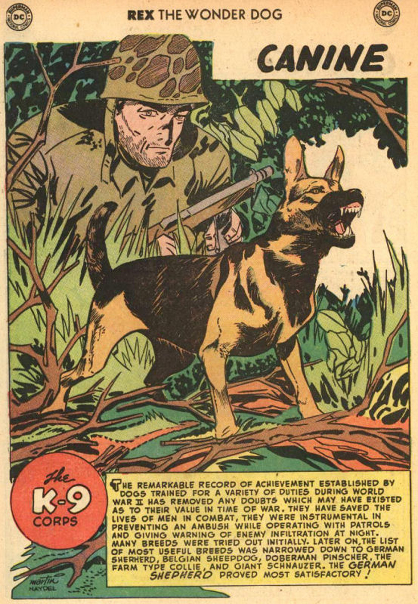 Read online The Adventures of Rex the Wonder Dog comic -  Issue #5 - 20