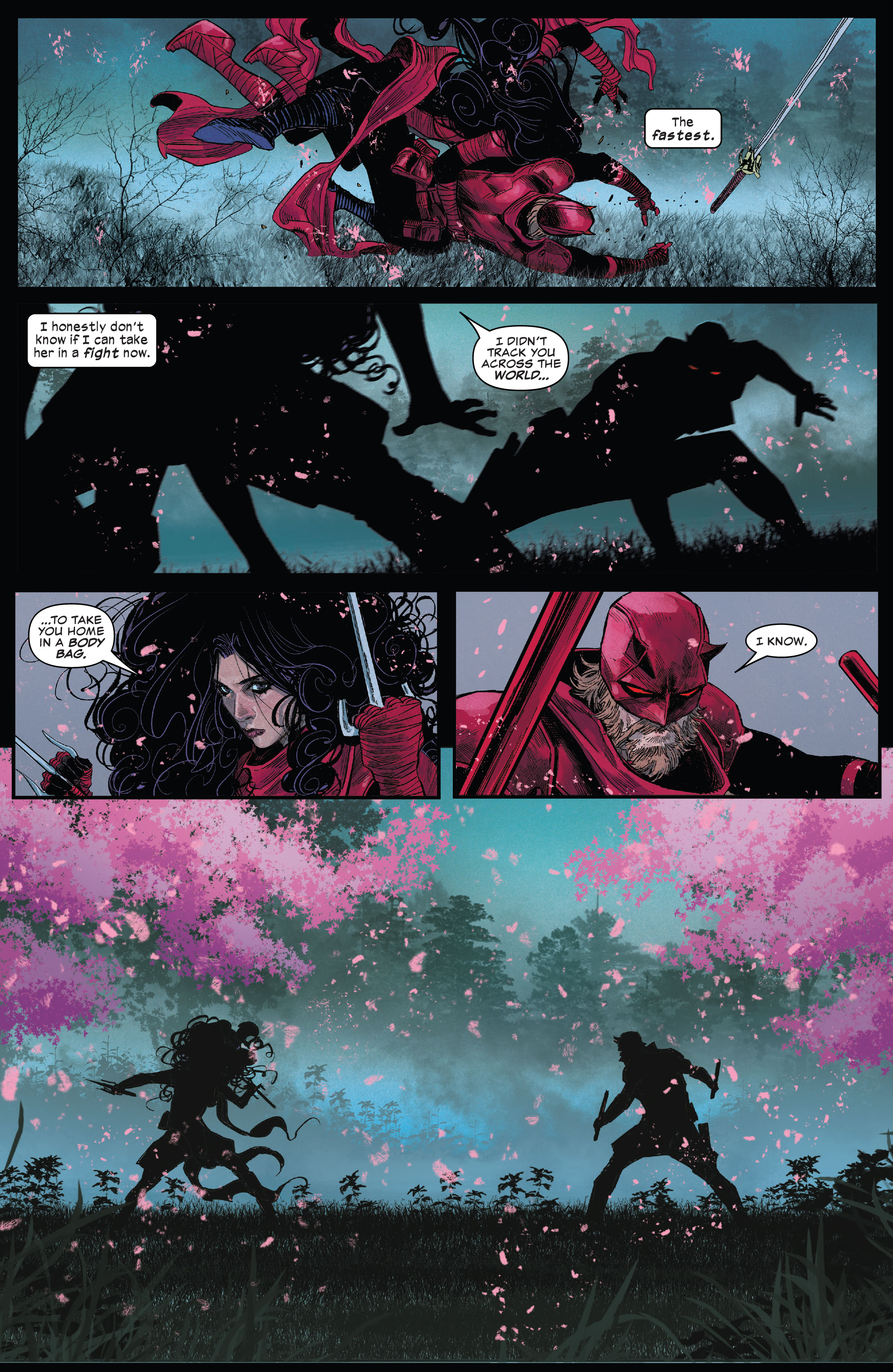Read online Daredevil (2022) comic -  Issue #12 - 13