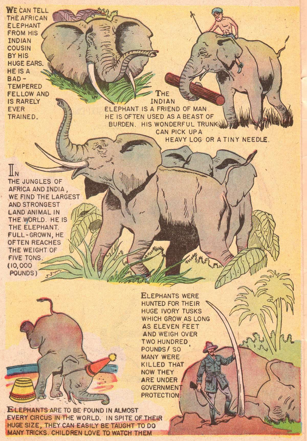 Read online Classics Illustrated Junior comic -  Issue #504 - 35