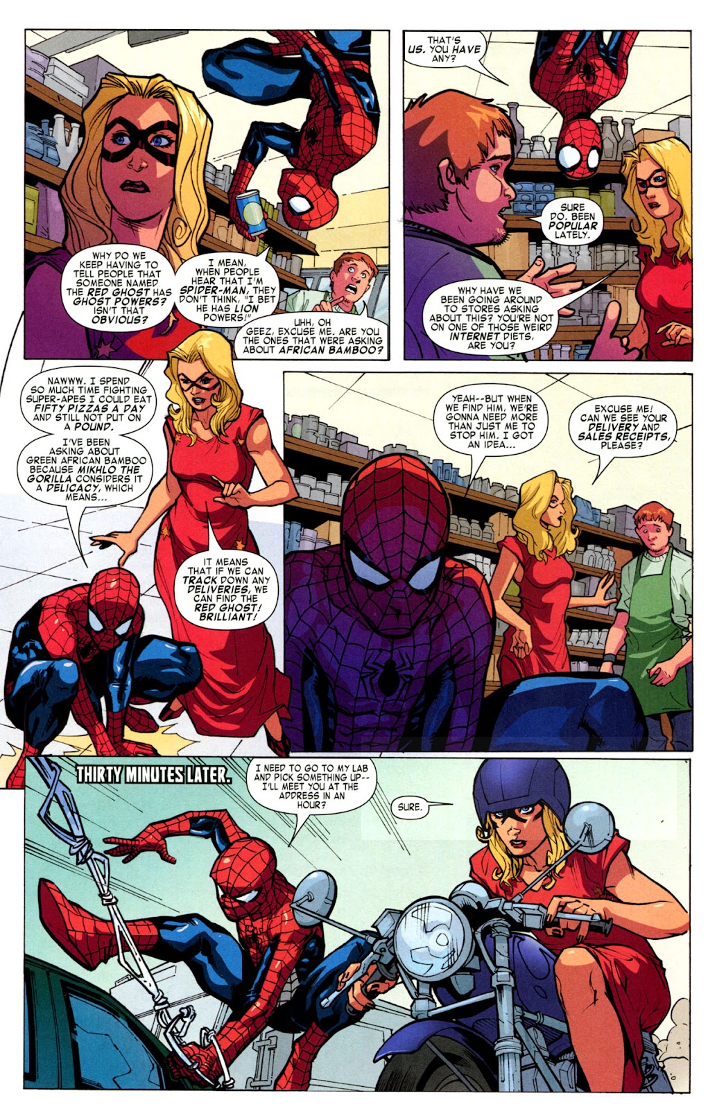 Marvel Adventures Spider-Man (2010) issue 20 - Page 17