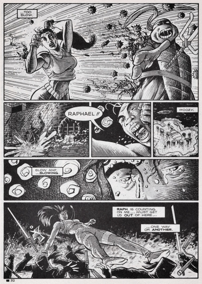 Teenage Mutant Ninja Turtles (1984) Issue #44 #44 - English 32