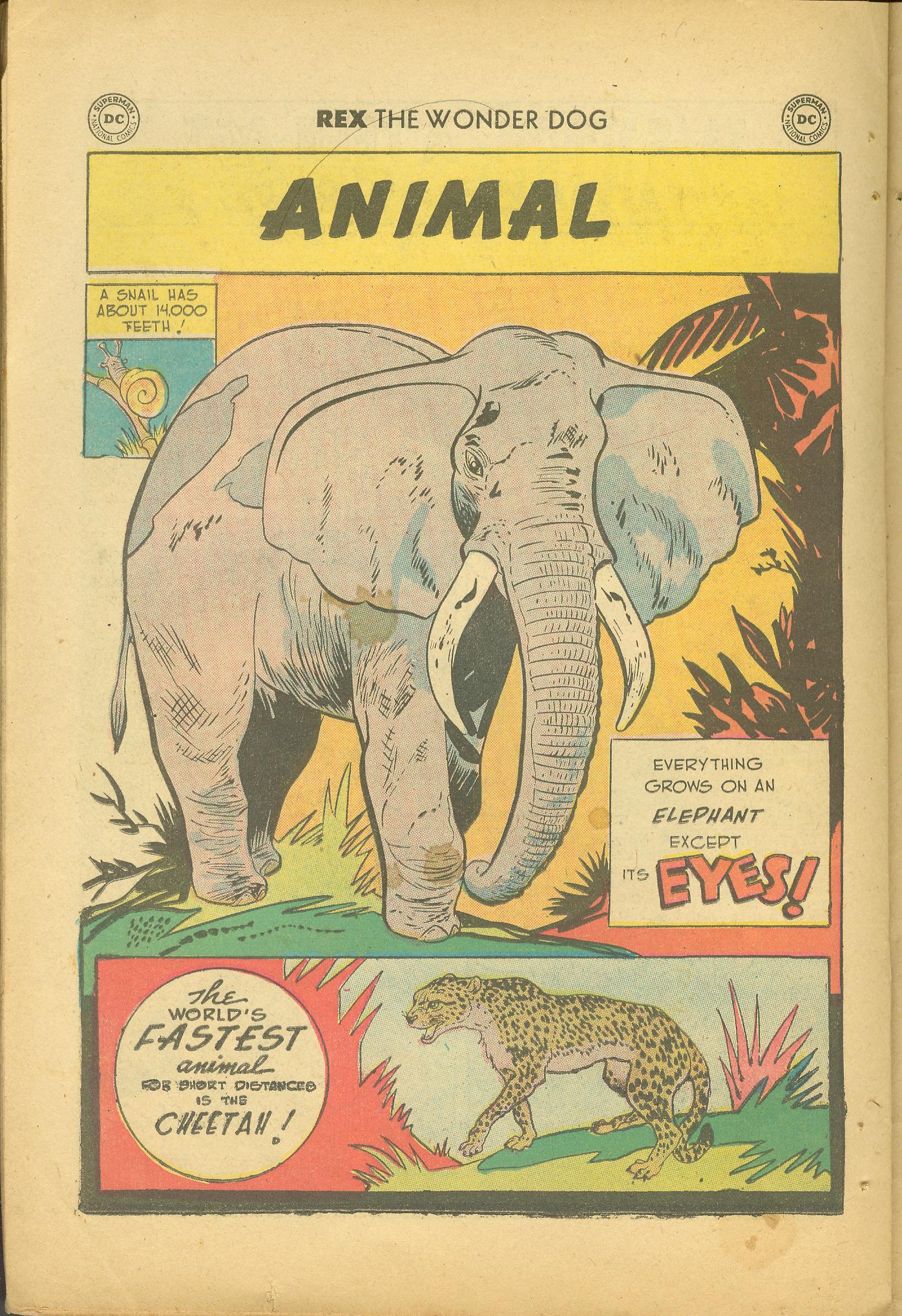 Read online The Adventures of Rex the Wonder Dog comic -  Issue #37 - 22
