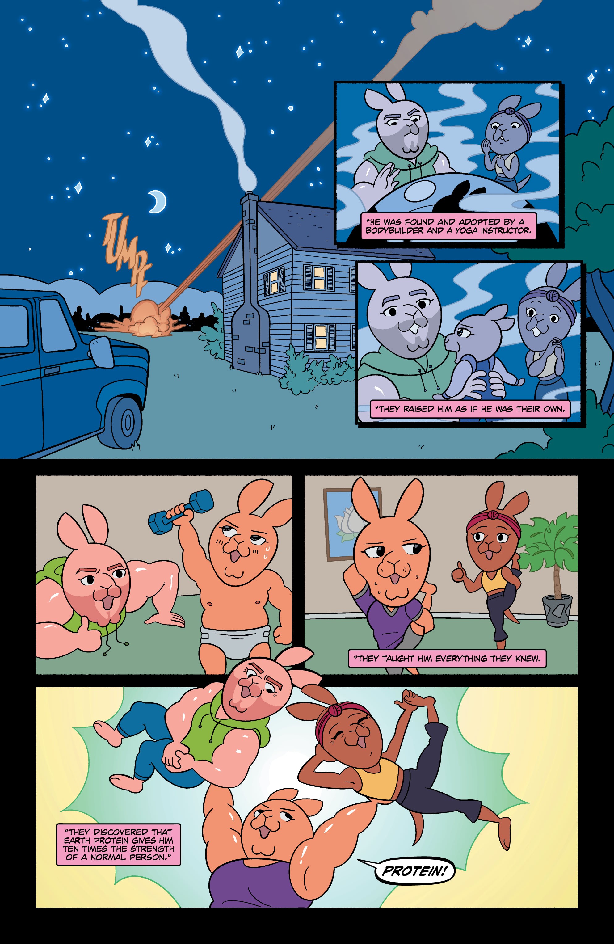 Read online Aggretsuko Meet Her Friends comic -  Issue #1 - 12