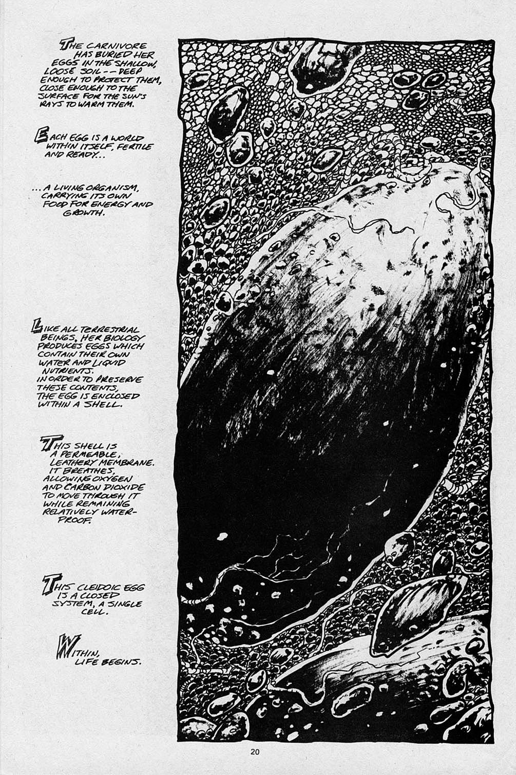 Read online S.R. Bissette's Tyrant comic -  Issue #2 - 22