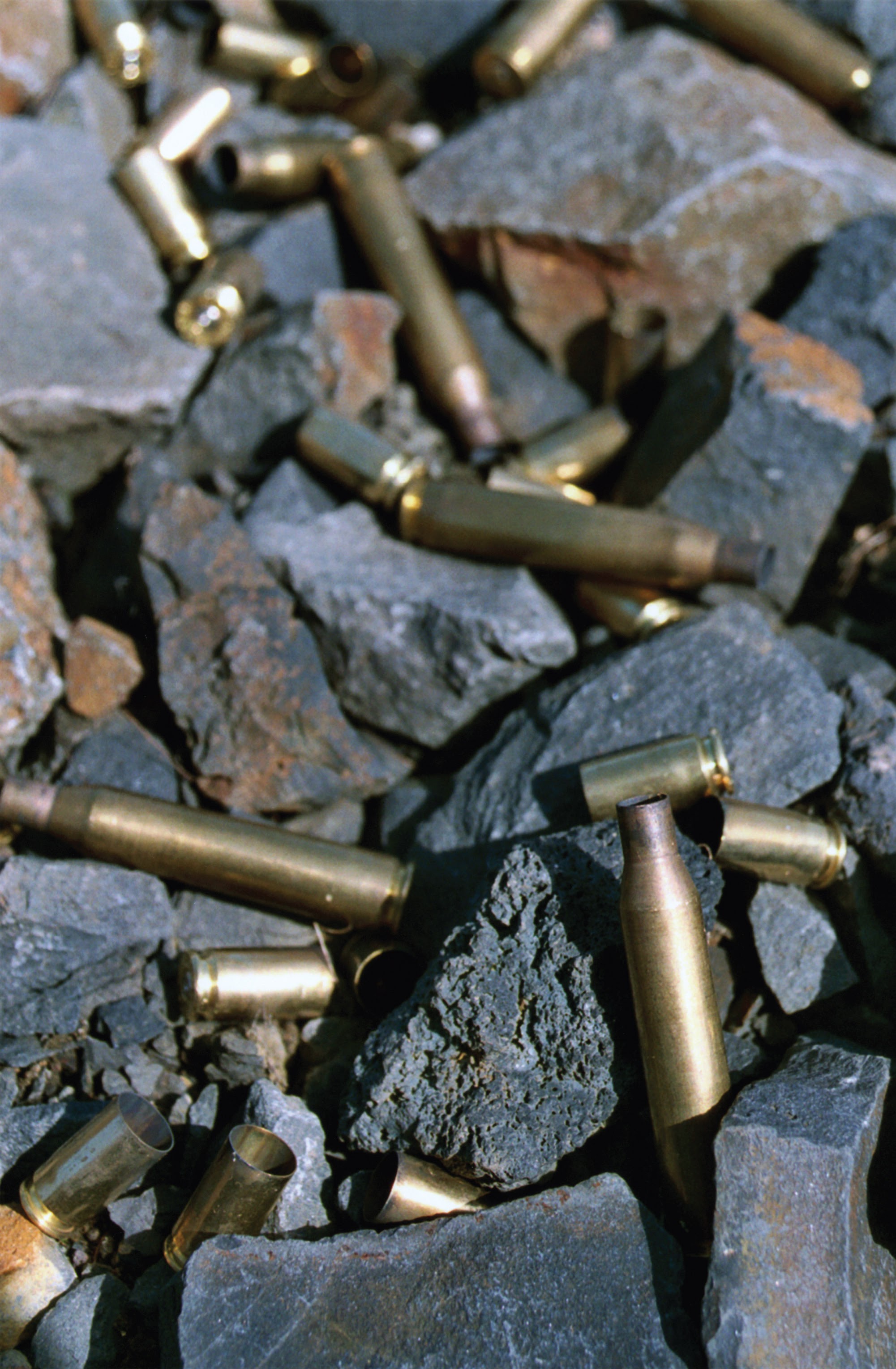 Read online The Killing Jar comic -  Issue # TPB (Part 1) - 99