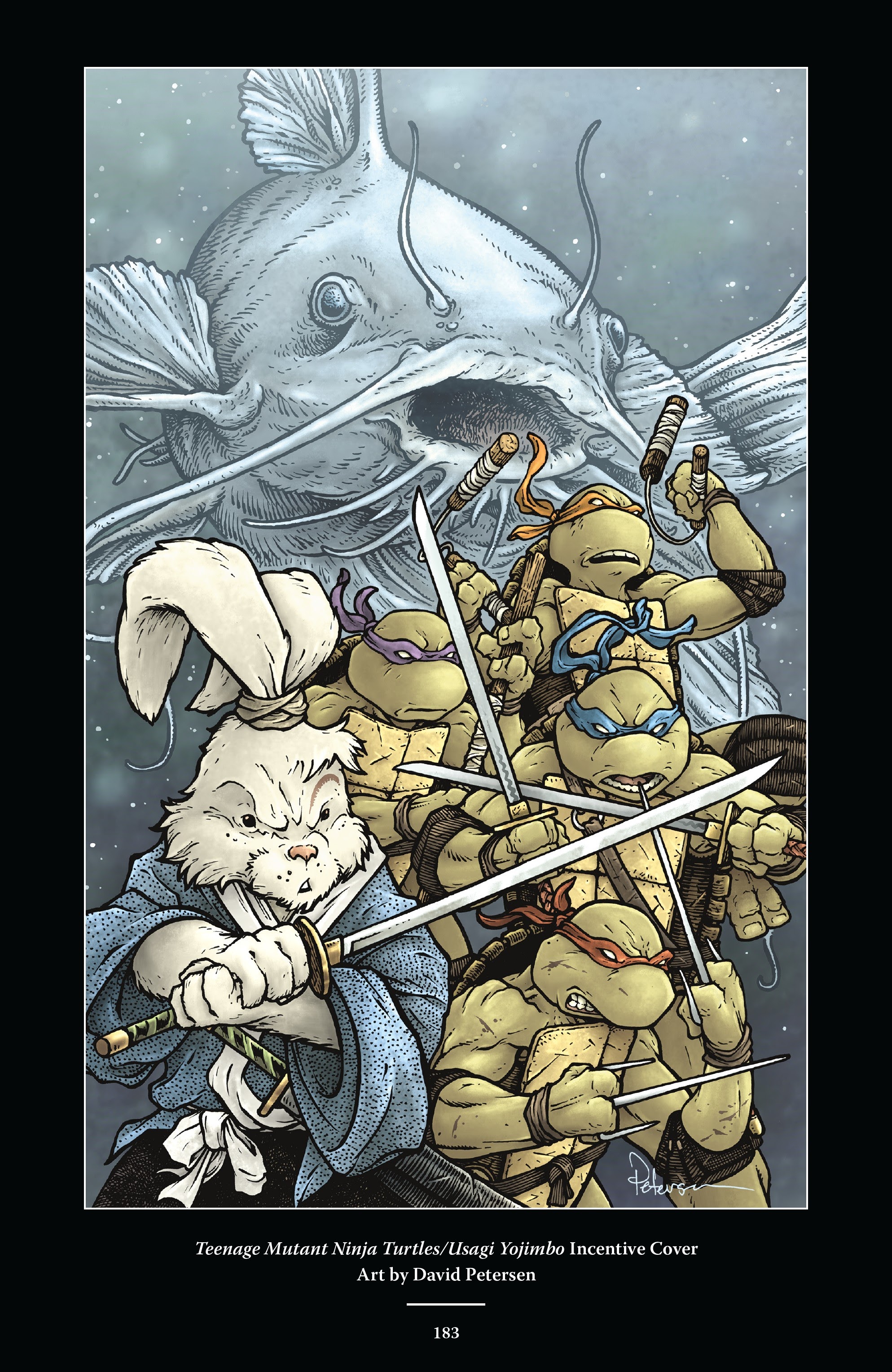 Read online Usagi Yojimbo/Teenage Mutant Ninja Turtles: The Complete Collection comic -  Issue # TPB (Part 2) - 74
