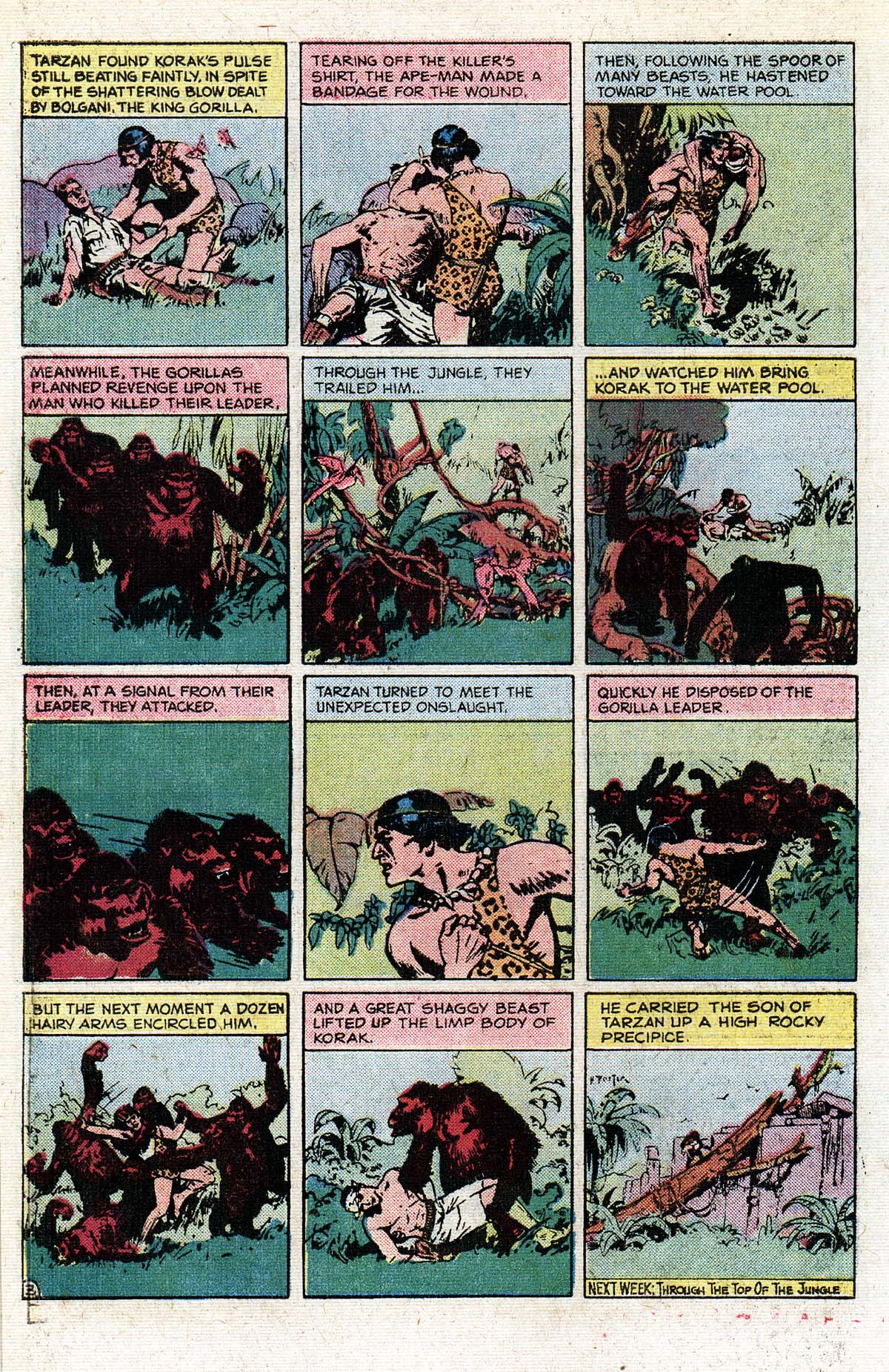 Read online Tarzan Family comic -  Issue #62 - 55